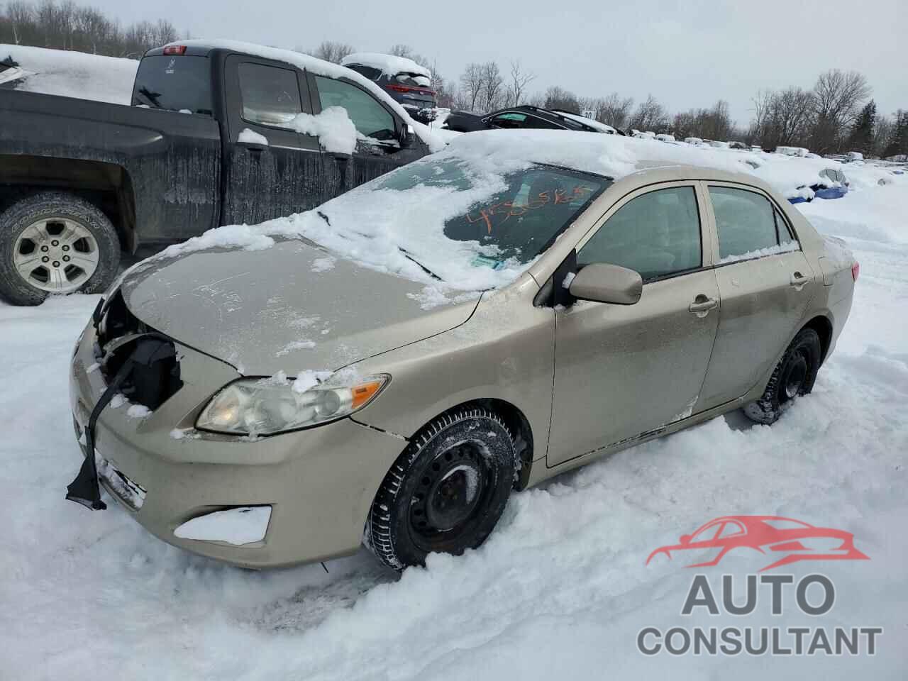 TOYOTA COROLLA 2010 - 2T1BU4EE9AC331305