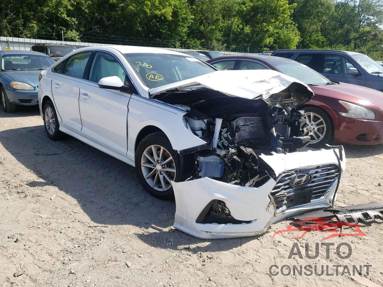 HYUNDAI SONATA 2019 - 5NPE24AF8KH767014