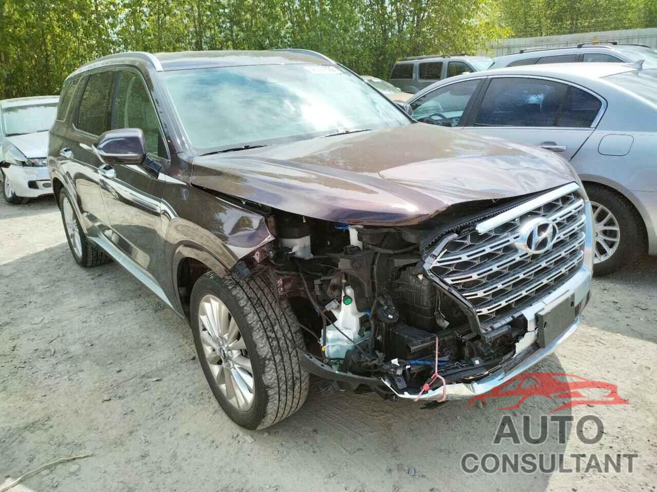 HYUNDAI PALISADE 2020 - KM8R5DHE3LU089023