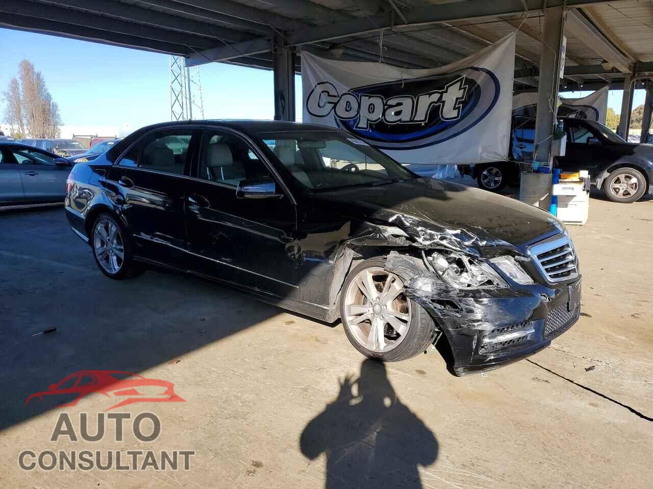 MERCEDES-BENZ E-CLASS 2012 - WDDHF5KB2CA537177