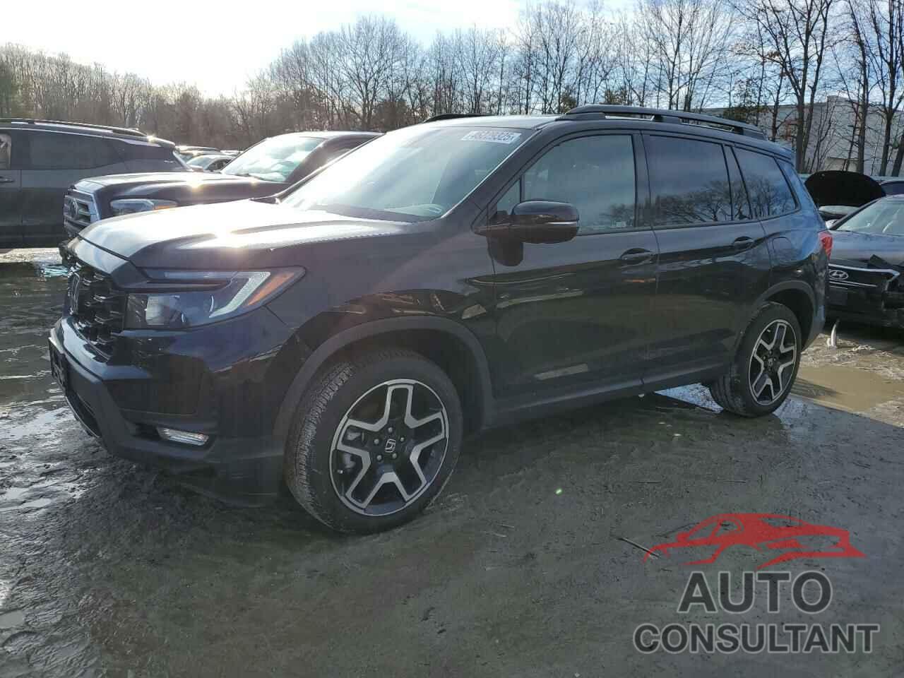 HONDA PASSPORT 2022 - 5FNYF8H02NB012275