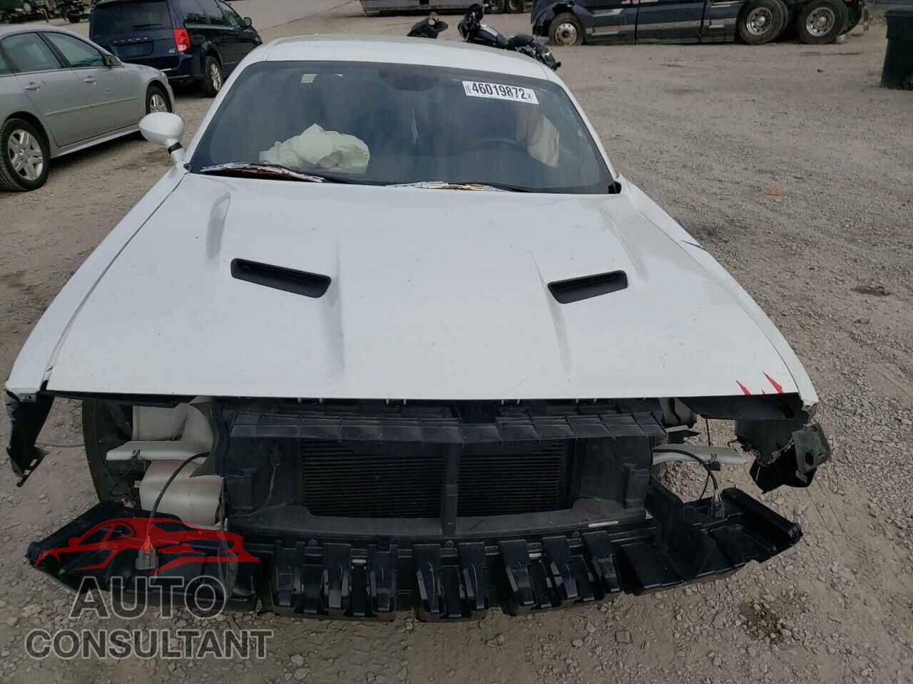 DODGE CHALLENGER 2019 - 2C3CDZAG9KH507600