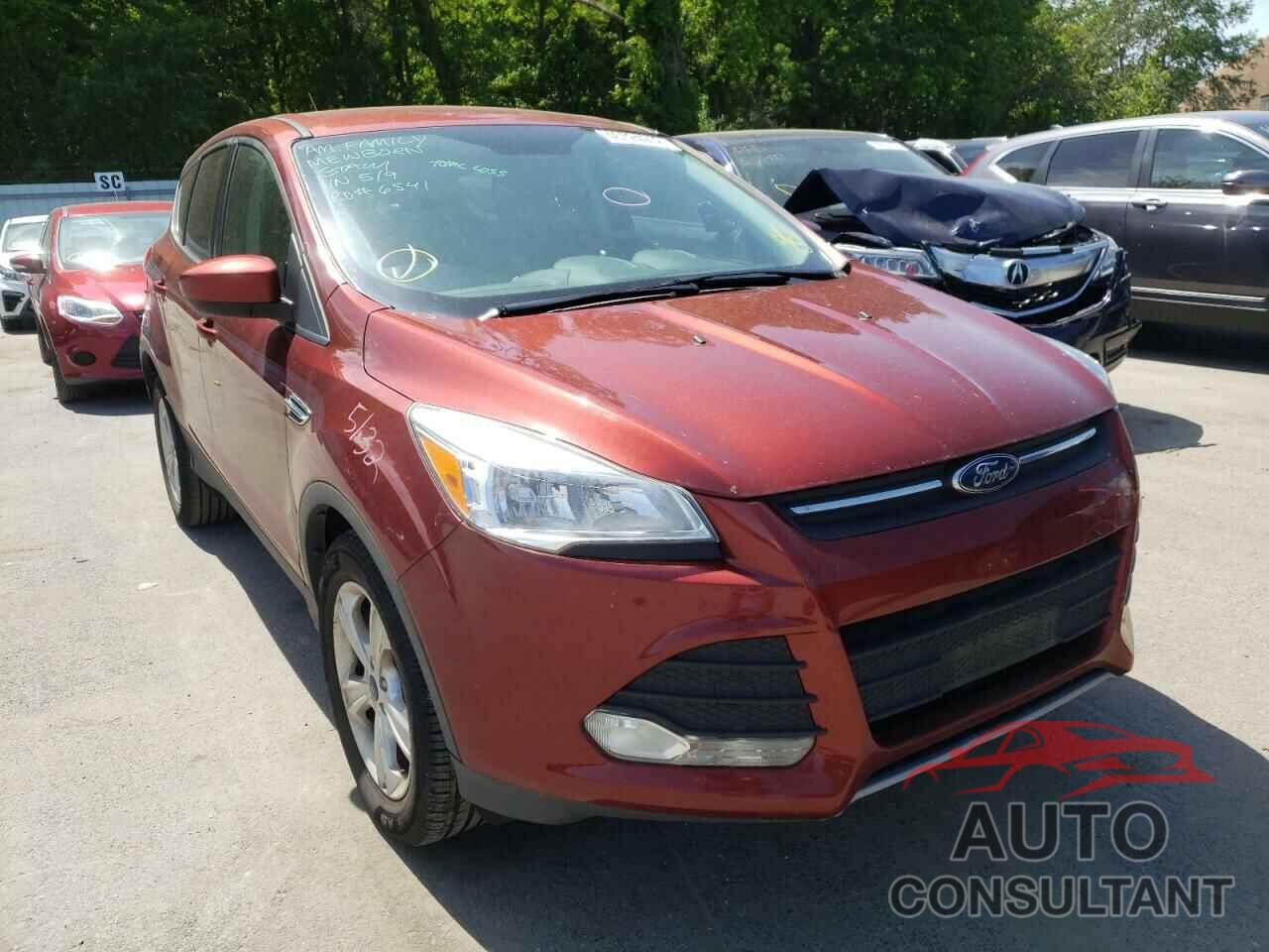 FORD ESCAPE 2016 - 1FMCU9GXXGUA13863