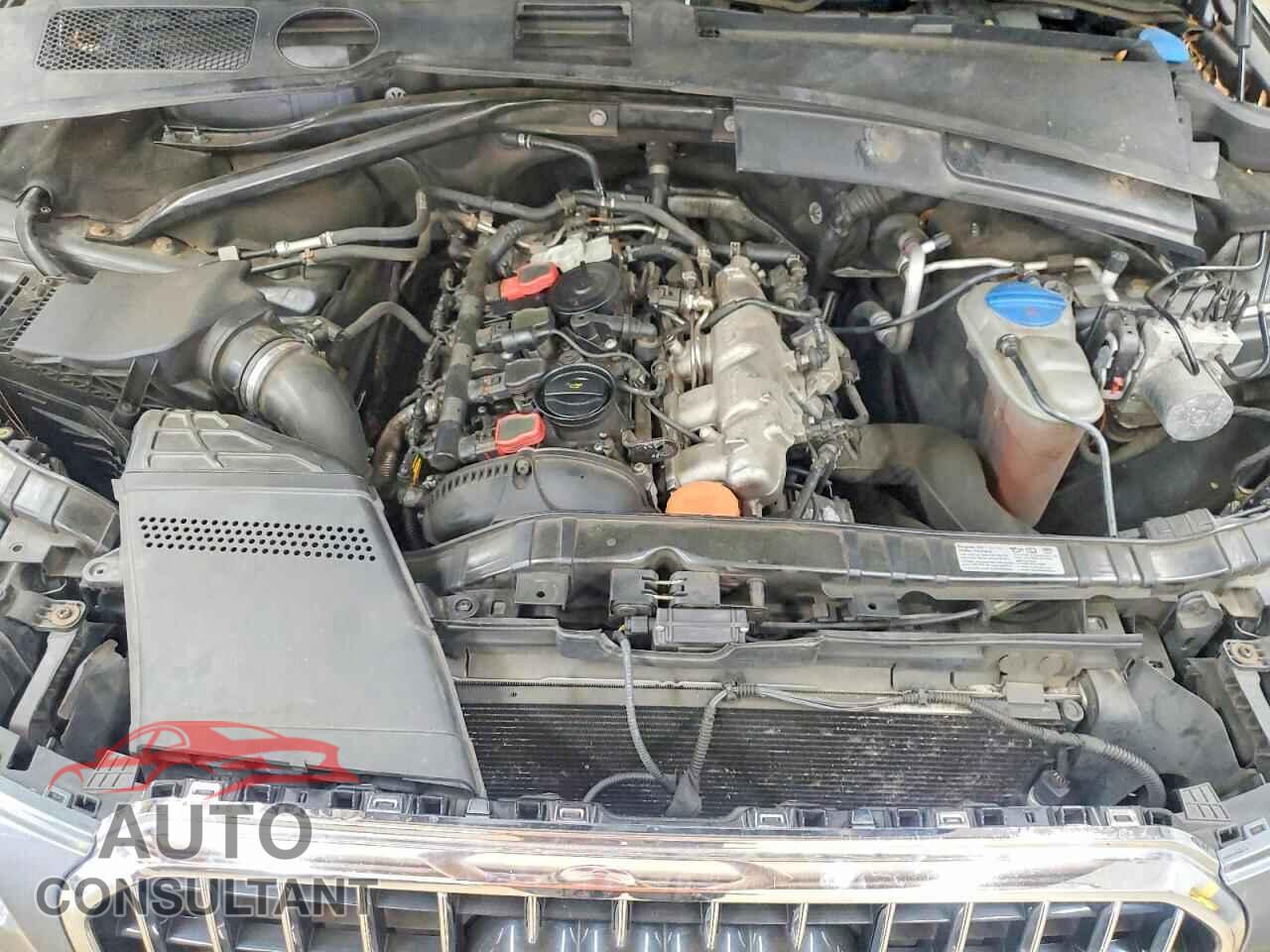 AUDI Q5 2013 - WA1LFAFP2DA022520