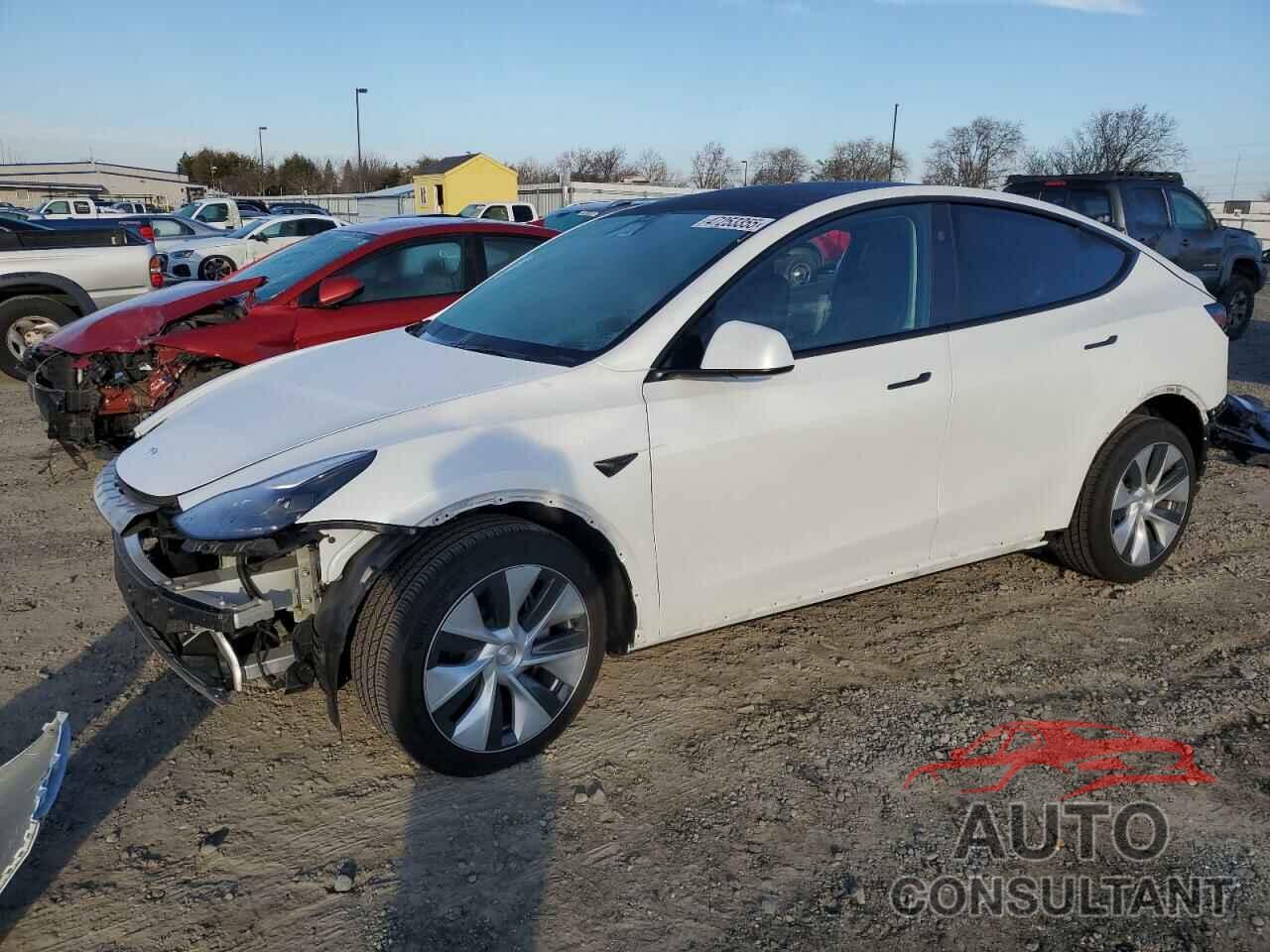 TESLA MODEL Y 2024 - 7SAYGDEE7RF068890