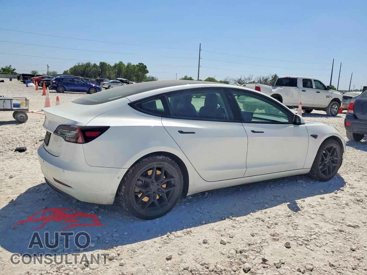 TESLA MODEL 3 2021 - 5YJ3E1EAXMF095096
