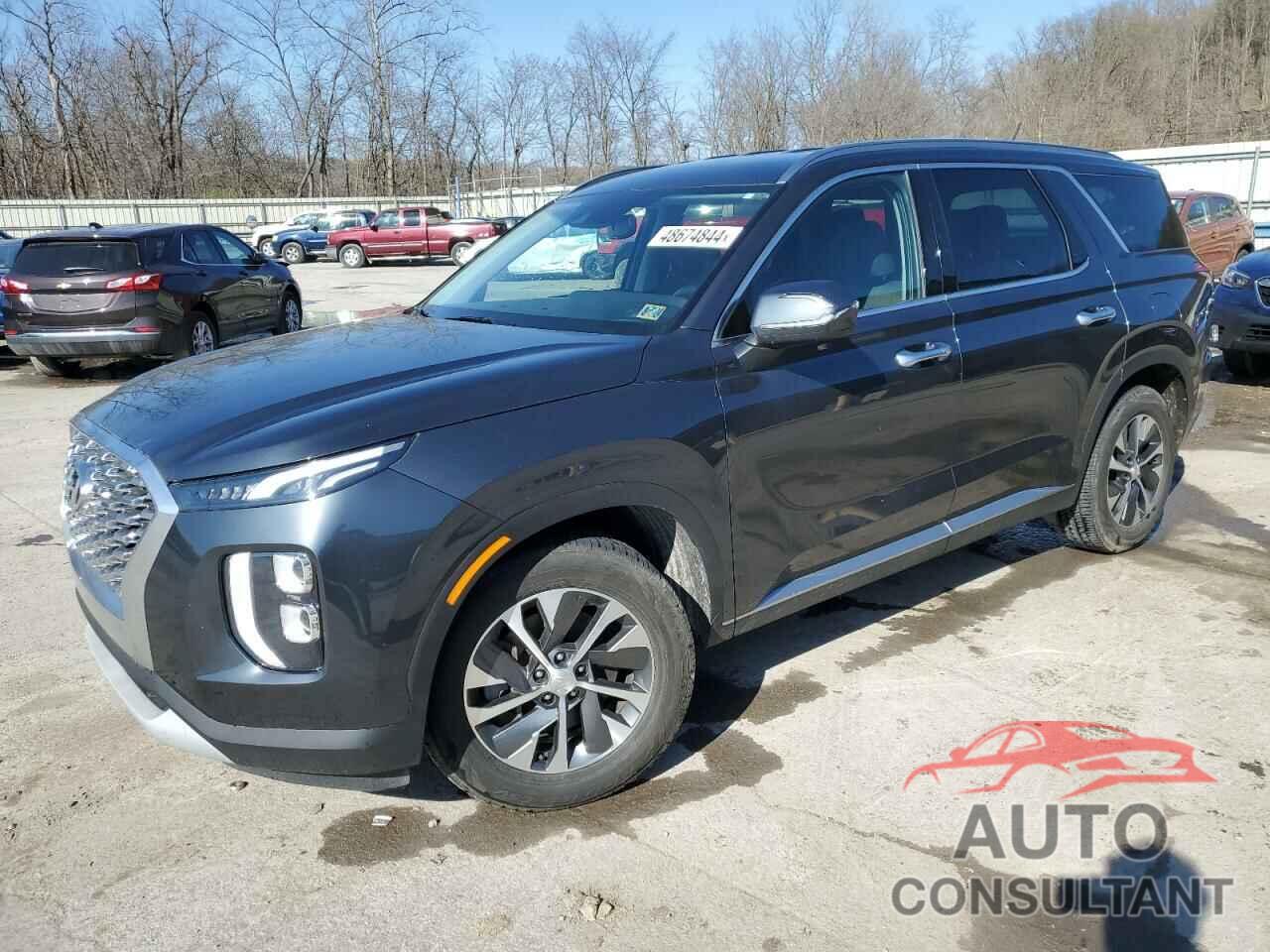 HYUNDAI PALISADE 2020 - KM8R2DHE6LU044828