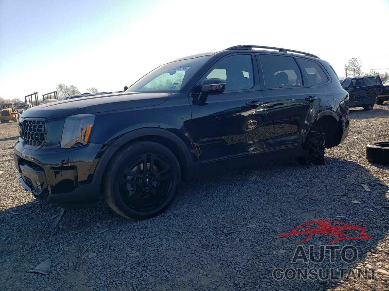 KIA TELLURIDE 2024 - 5XYP5DGC9RG441771