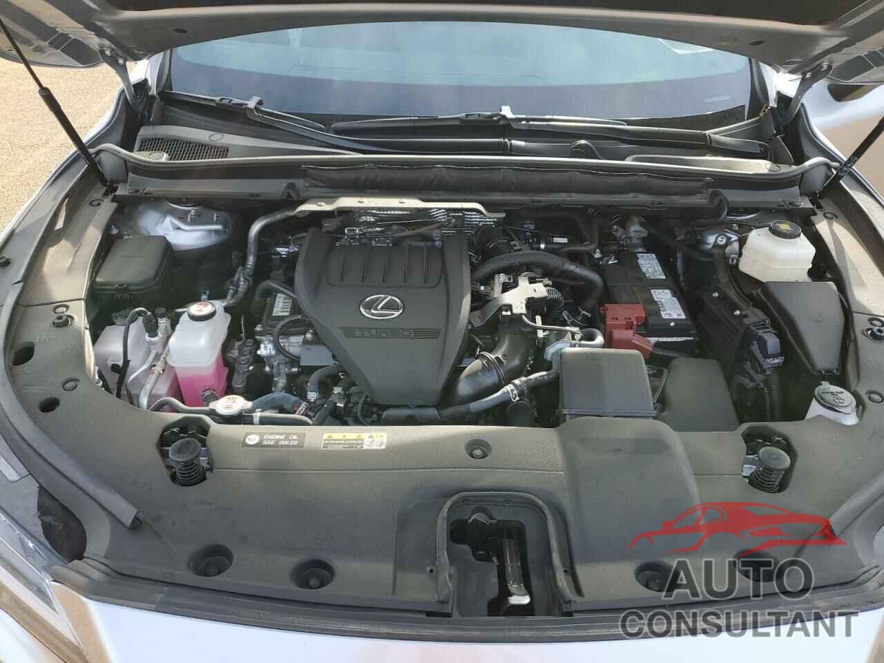 LEXUS RX350 2024 - 2T2BAMBAXRC026896