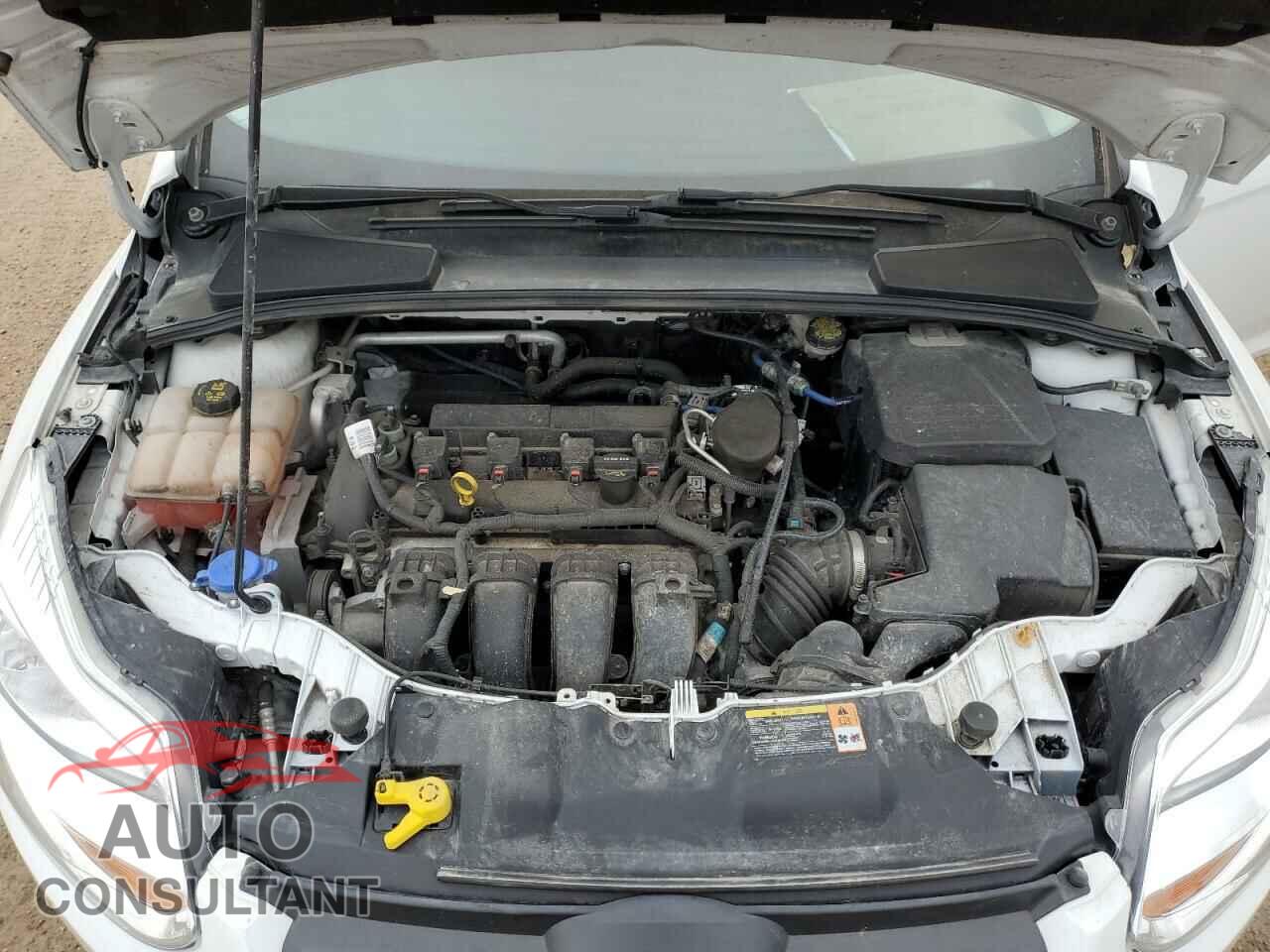 FORD FOCUS 2014 - 1FADP3F26EL259952