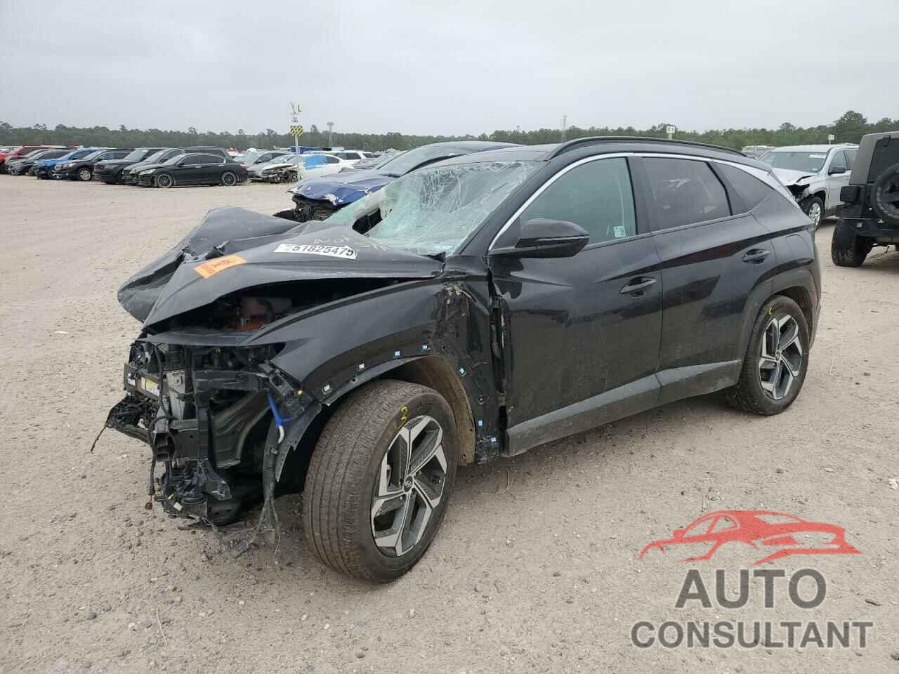 HYUNDAI TUCSON 2024 - KM8JCCD17RU164265