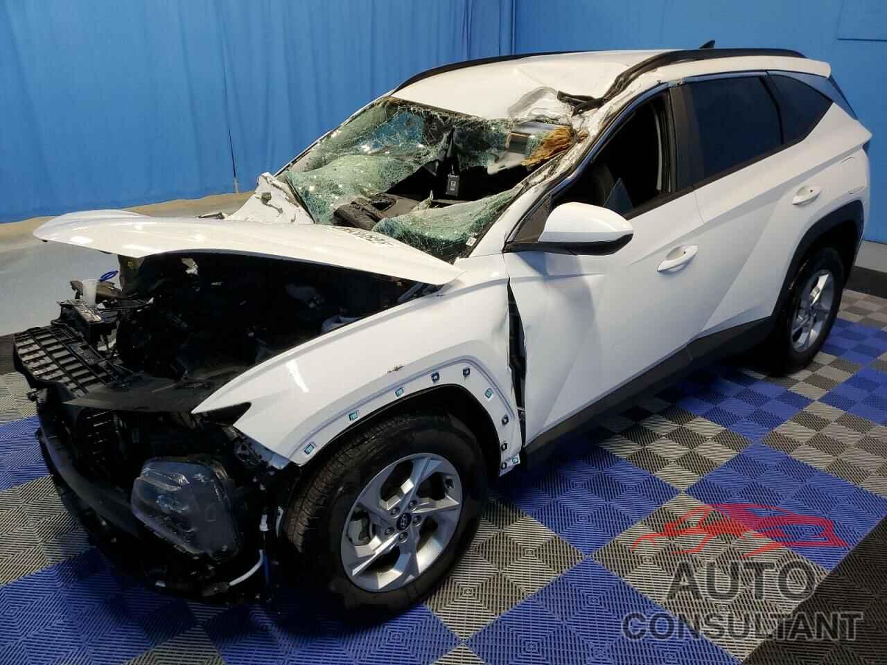 HYUNDAI TUCSON 2024 - 5NMJBCDE2RH314624