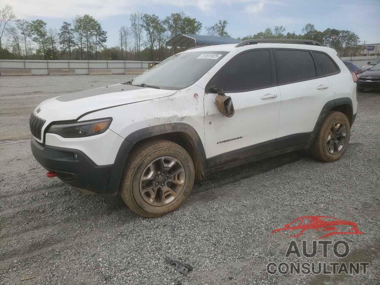 JEEP CHEROKEE 2019 - 1C4PJMBX9KD256968