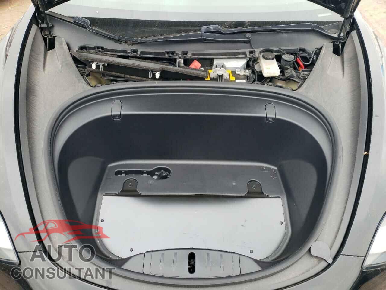 TESLA MODEL 3 2019 - 5YJ3E1EA1KF313410