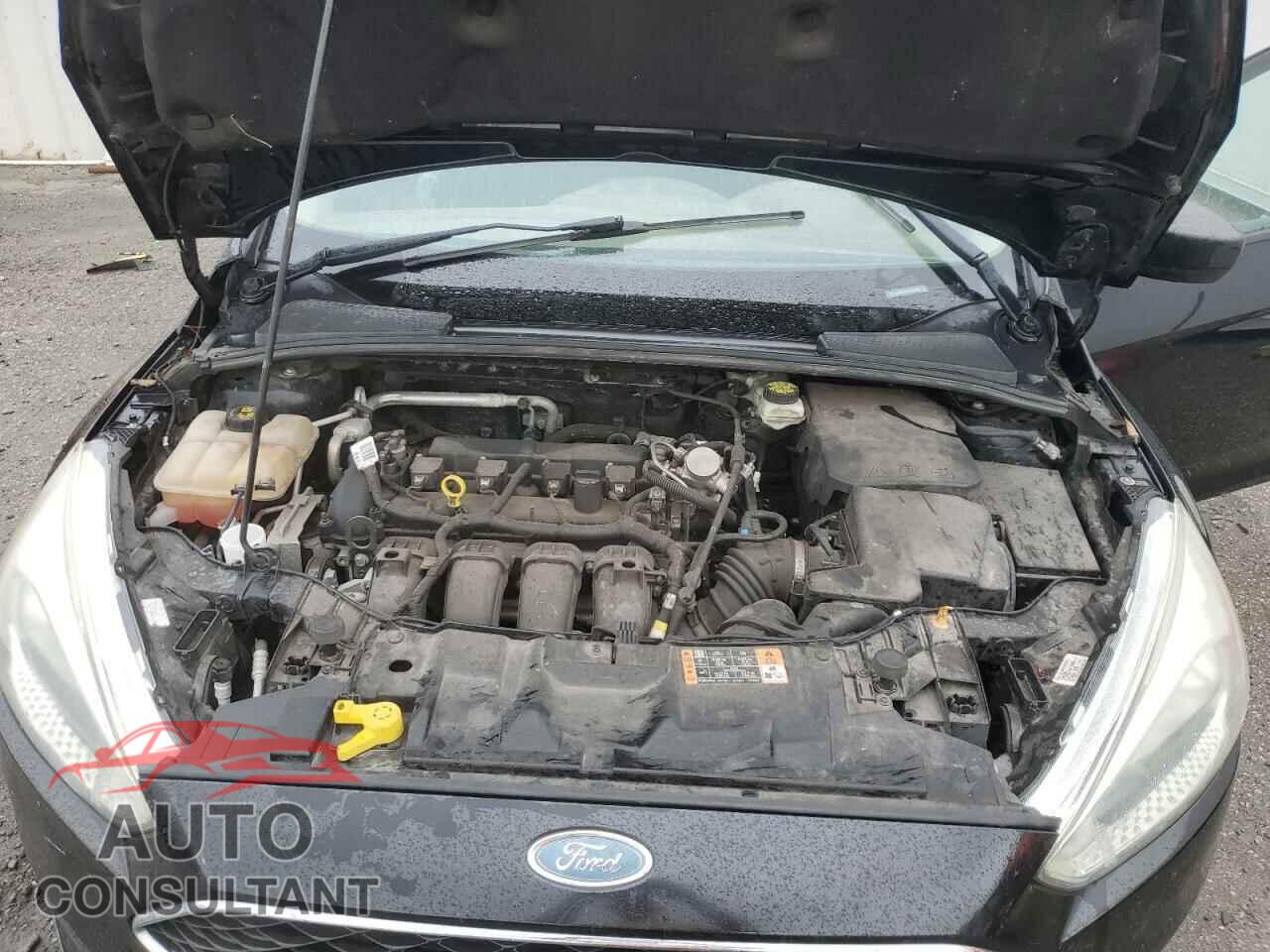 FORD FOCUS 2017 - 1FADP3E21HL212818