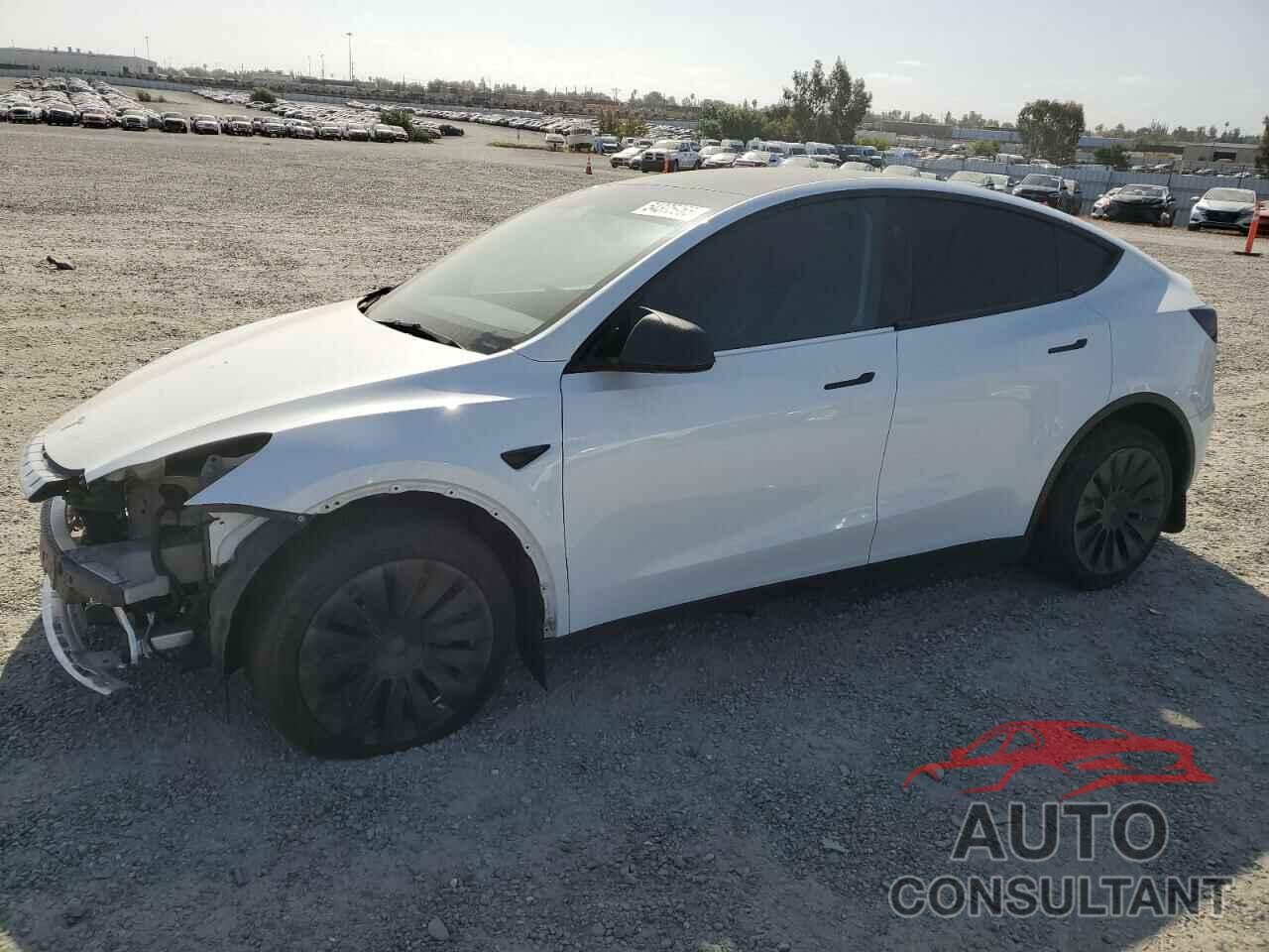TESLA MODEL Y 2023 - 7SAYGAEE2PF943904