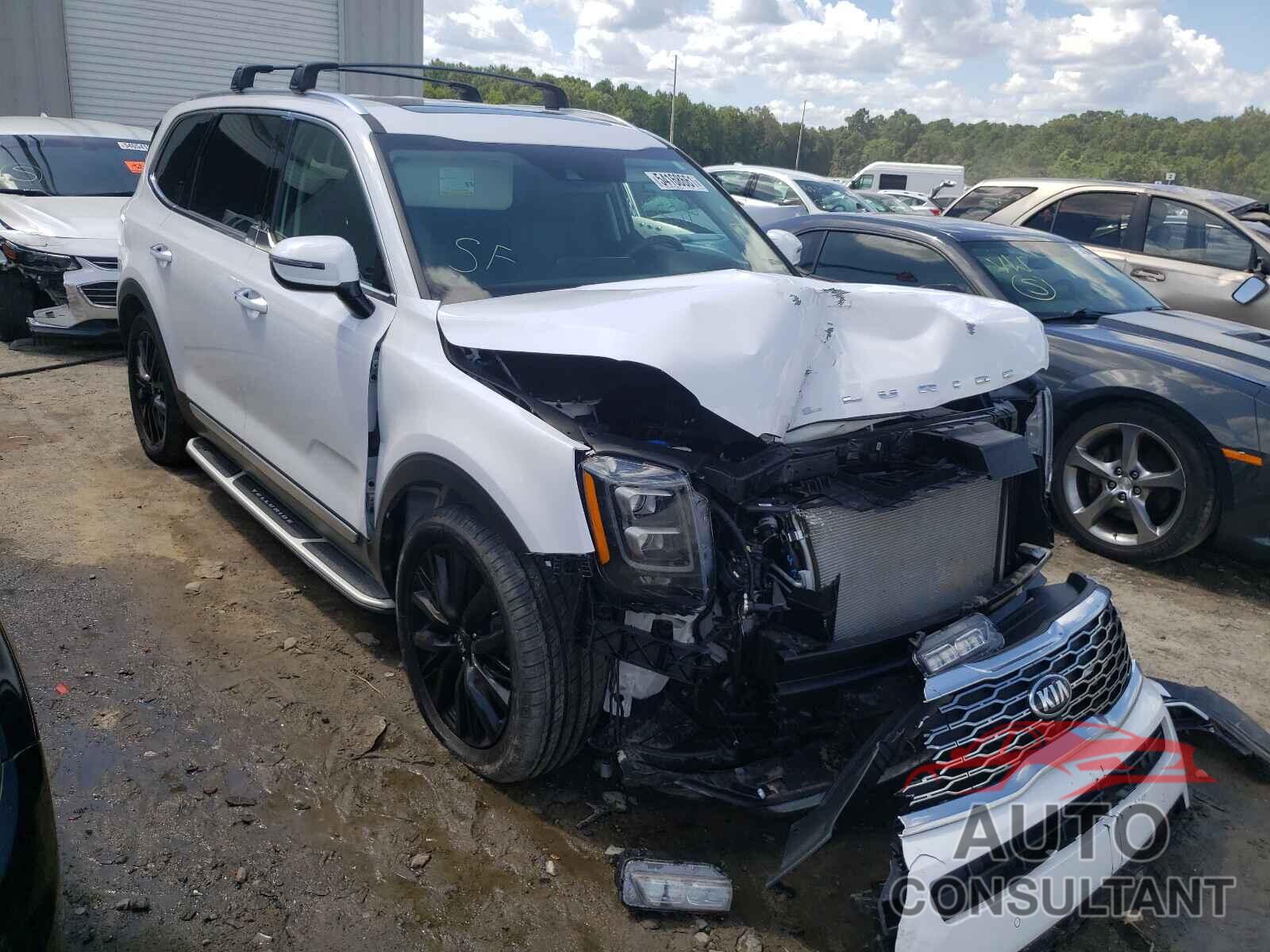 KIA TELLURIDE 2021 - 5XYP5DHC2MG149368