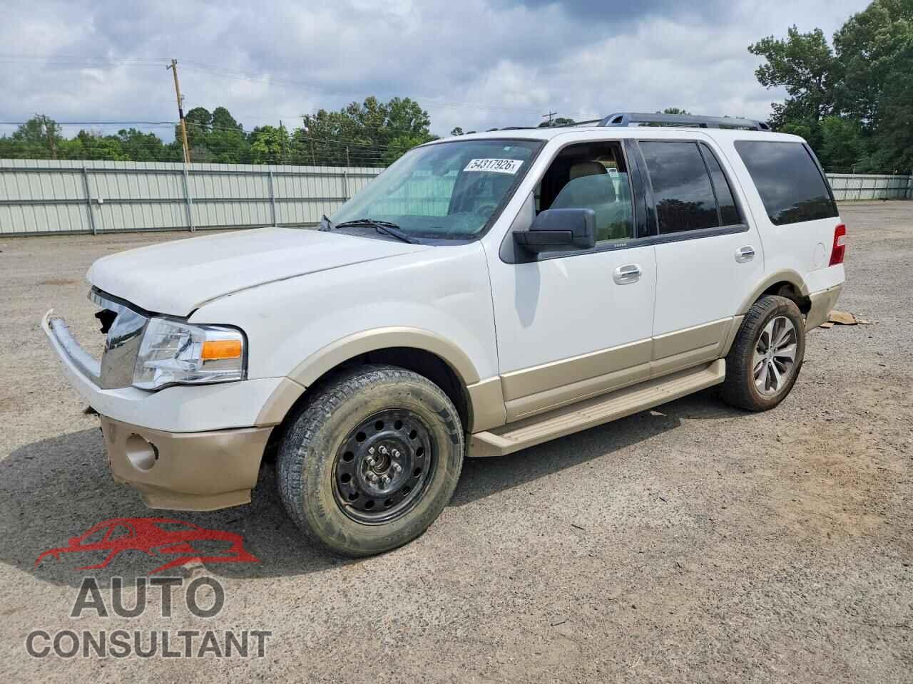 FORD EXPEDITION 2009 - 1FMFU17539EB11000