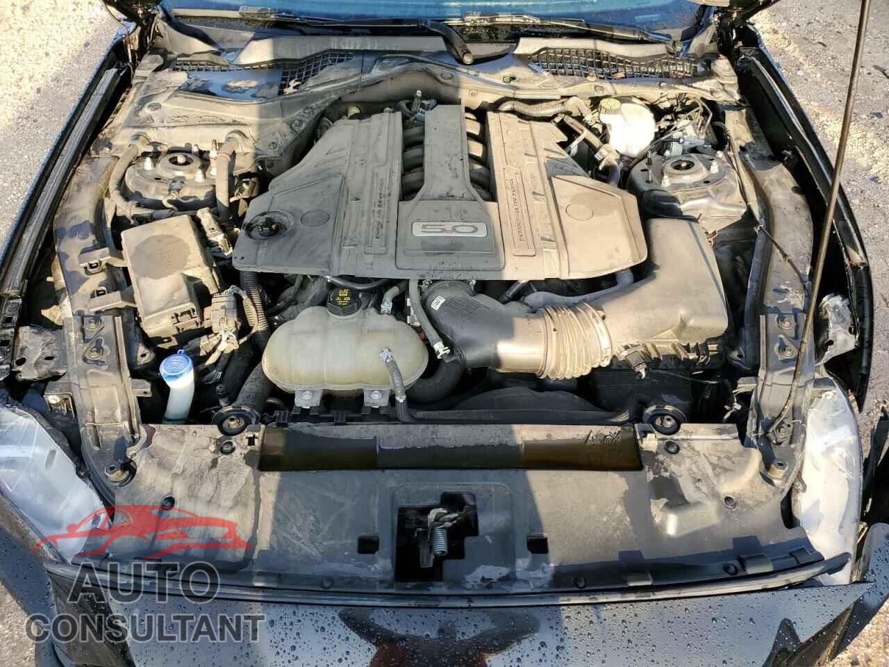 FORD MUSTANG 2021 - 1FA6P8CF6M5133204
