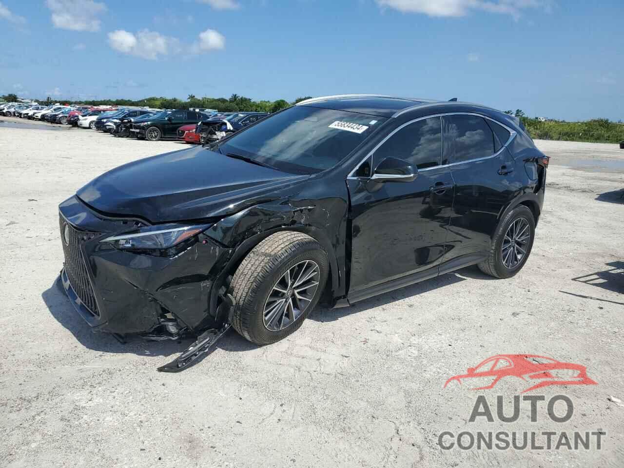 LEXUS NX 250 PRE 2024 - JTJGDCAZ7R5020664