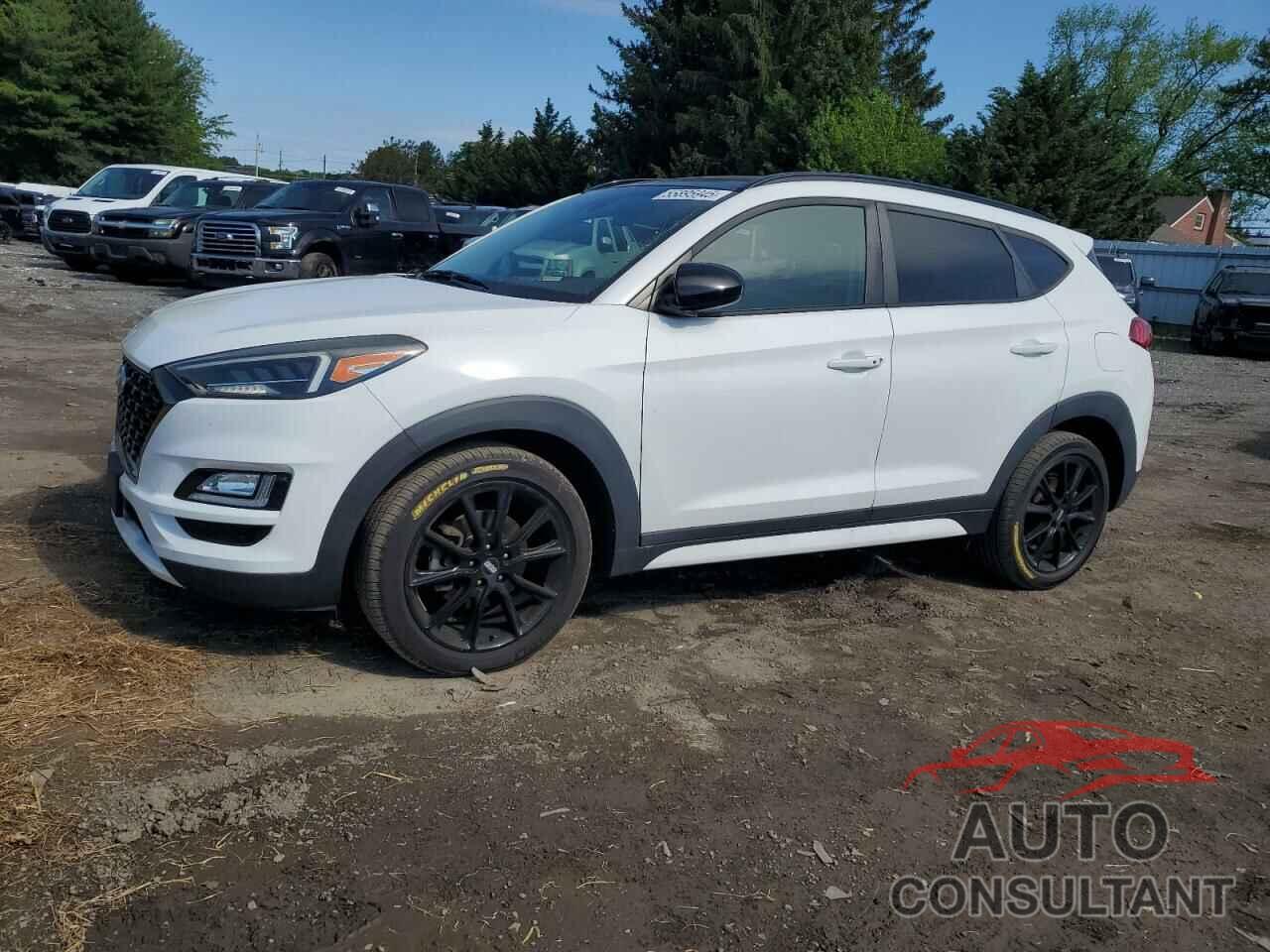 HYUNDAI TUCSON 2019 - KM8J33AL7KU951034