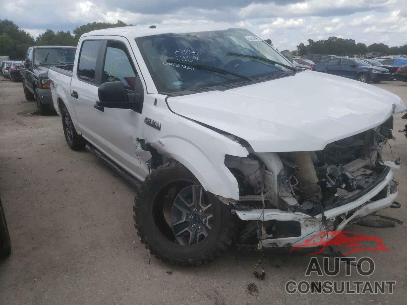 FORD F-150 2019 - 1FTEW1EP7KKF23250