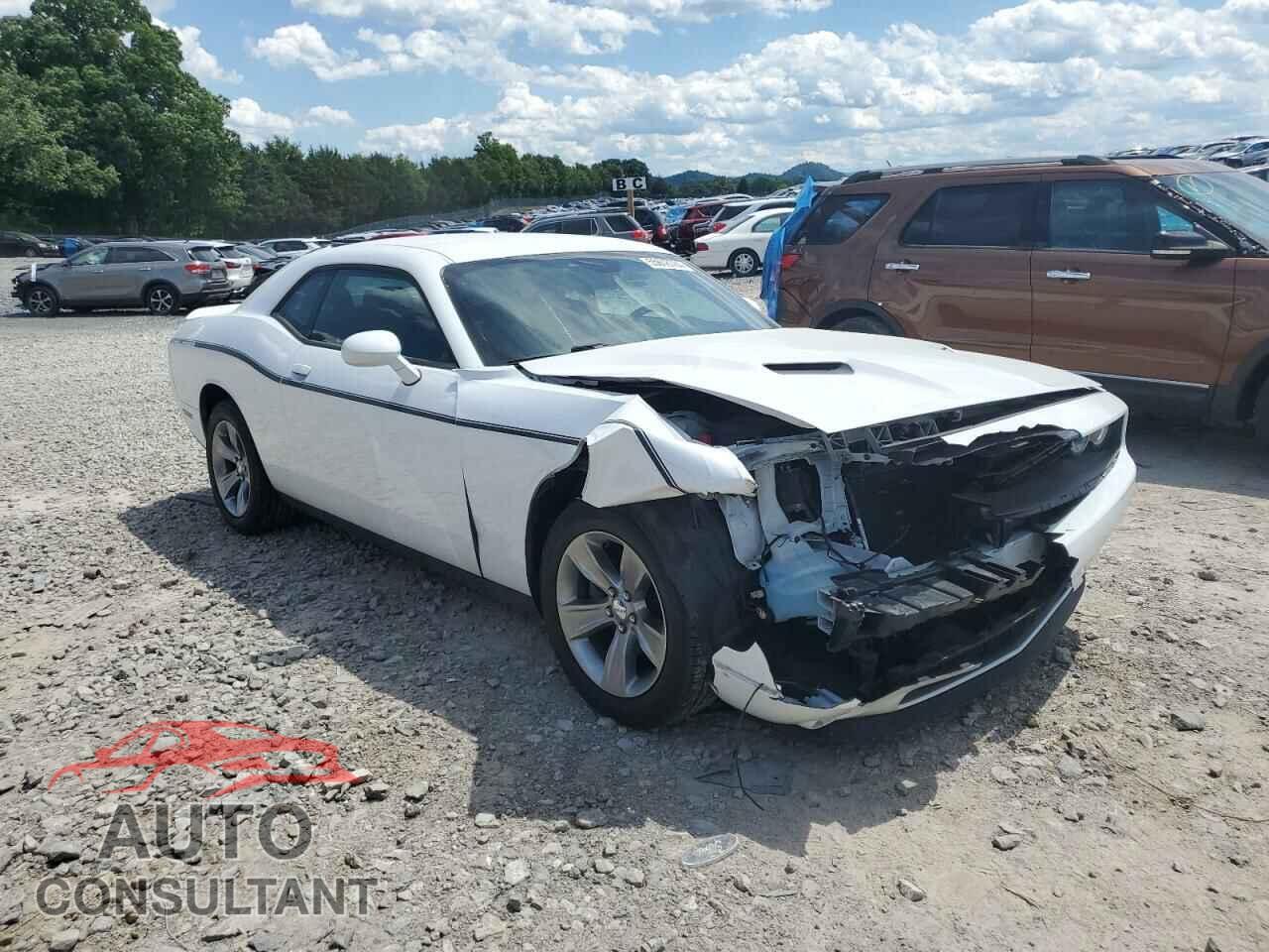 DODGE CHALLENGER 2019 - 2C3CDZAG5KH701895