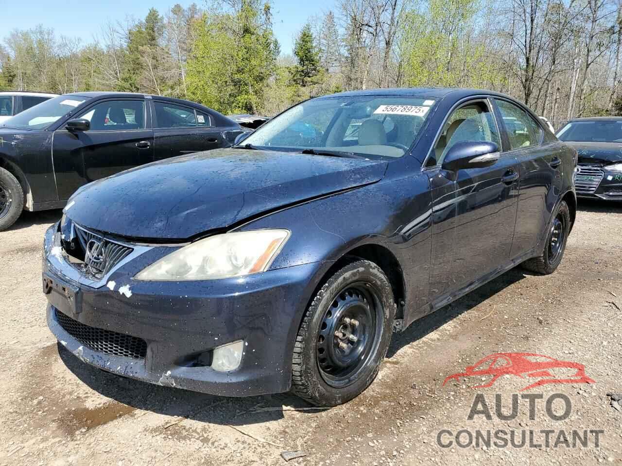 LEXUS IS 2009 - JTHCK262X95033551