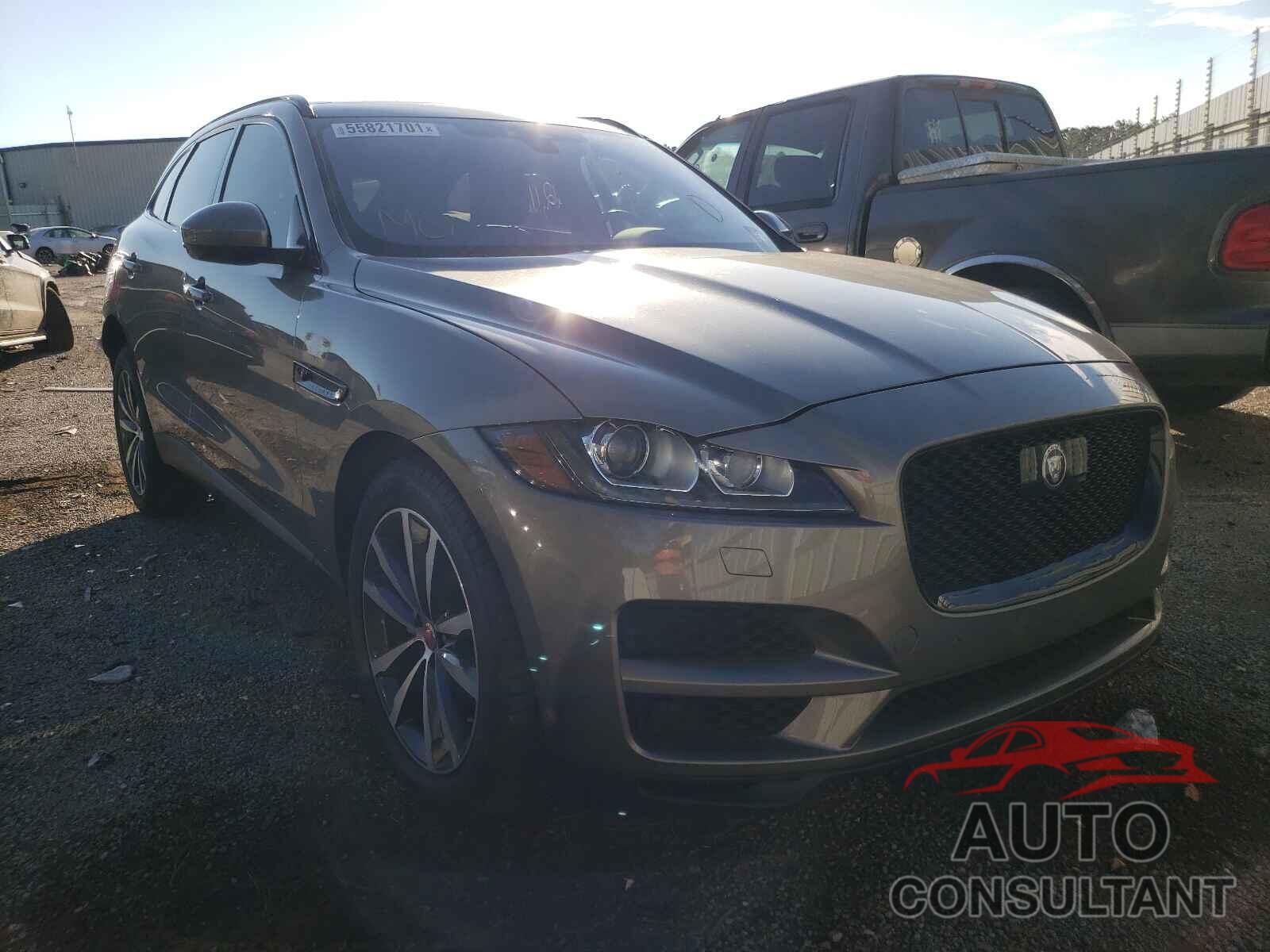 JAGUAR F-PACE 2019 - SADCK2FX0KA606570