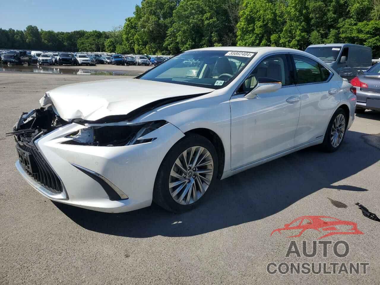 LEXUS ES300 2021 - 58AEA1C11MU011329