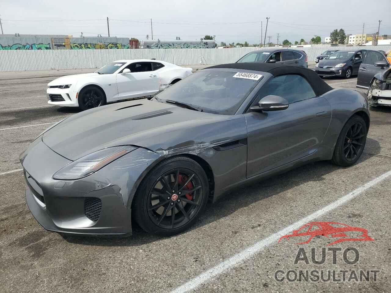 JAGUAR F-TYPE 2019 - SAJDD5GX8KCK62597