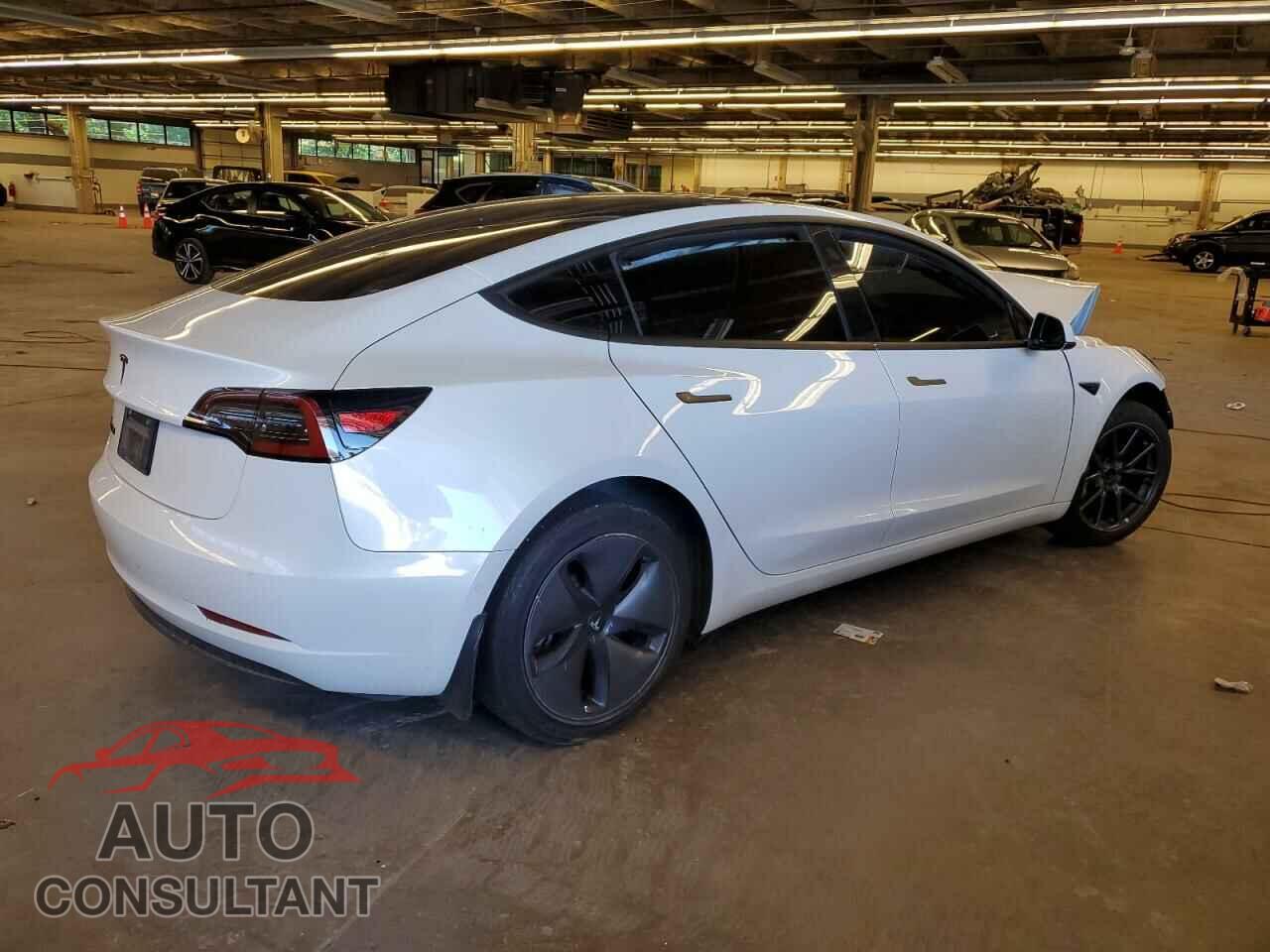 TESLA MODEL 3 2019 - 5YJ3E1EA1KF431876