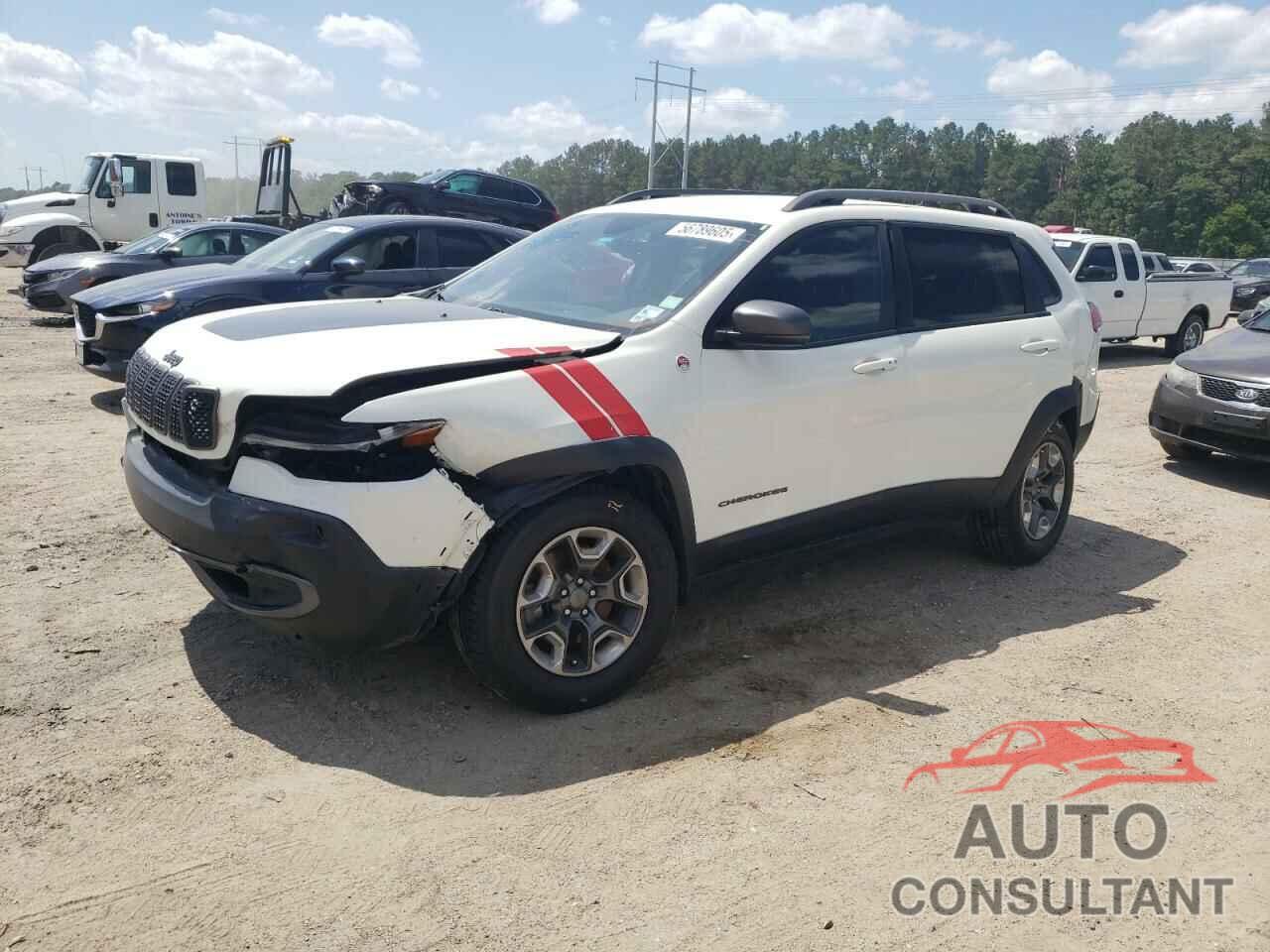 JEEP CHEROKEE 2019 - 1C4PJMBX9KD137141