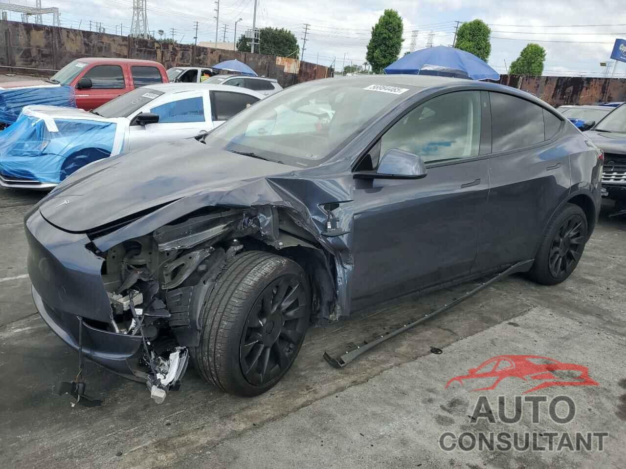 TESLA MODEL Y 2021 - 5YJYGDEE8MF218012