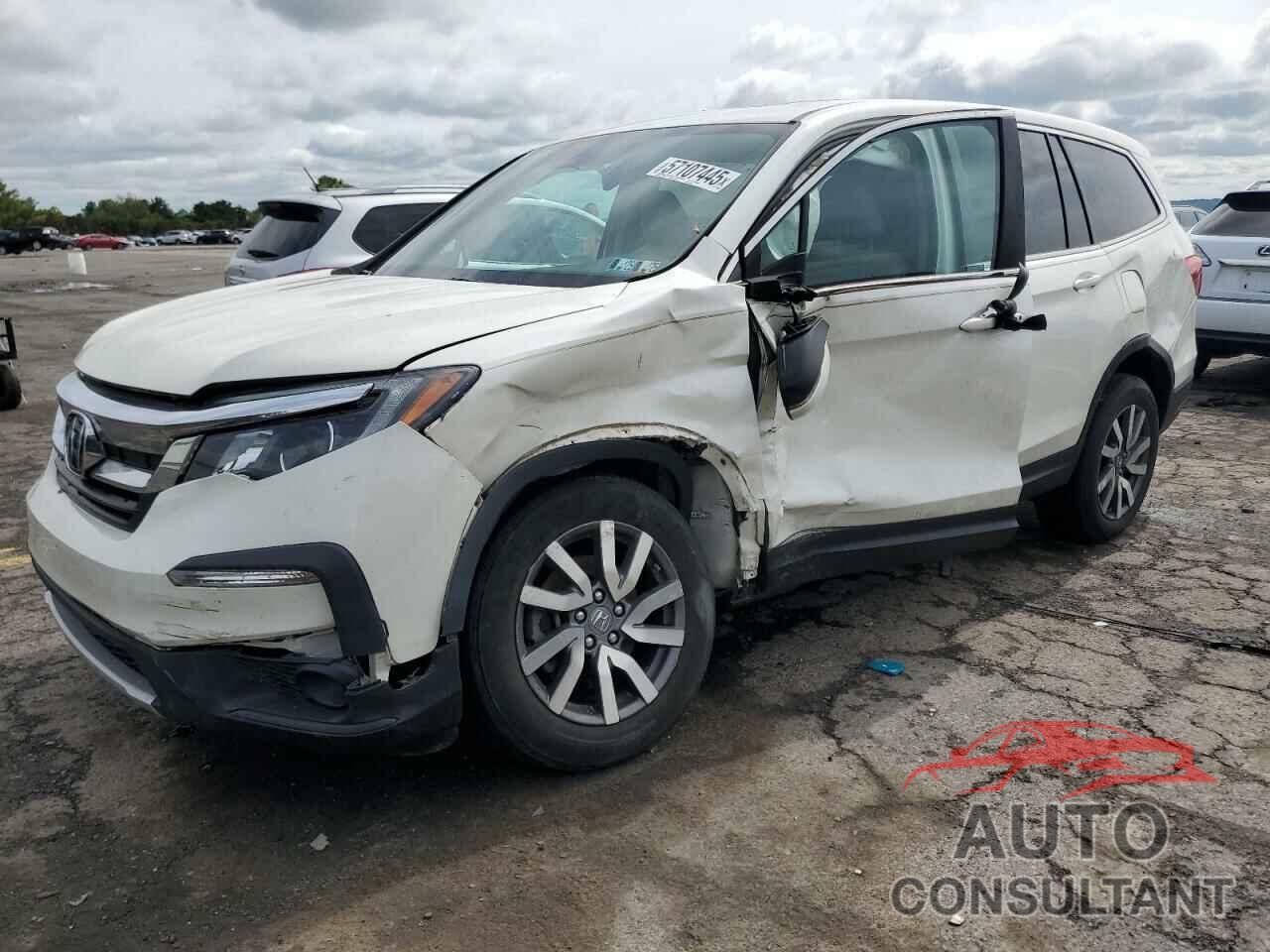 HONDA PILOT 2019 - 5FNYF6H50KB072745