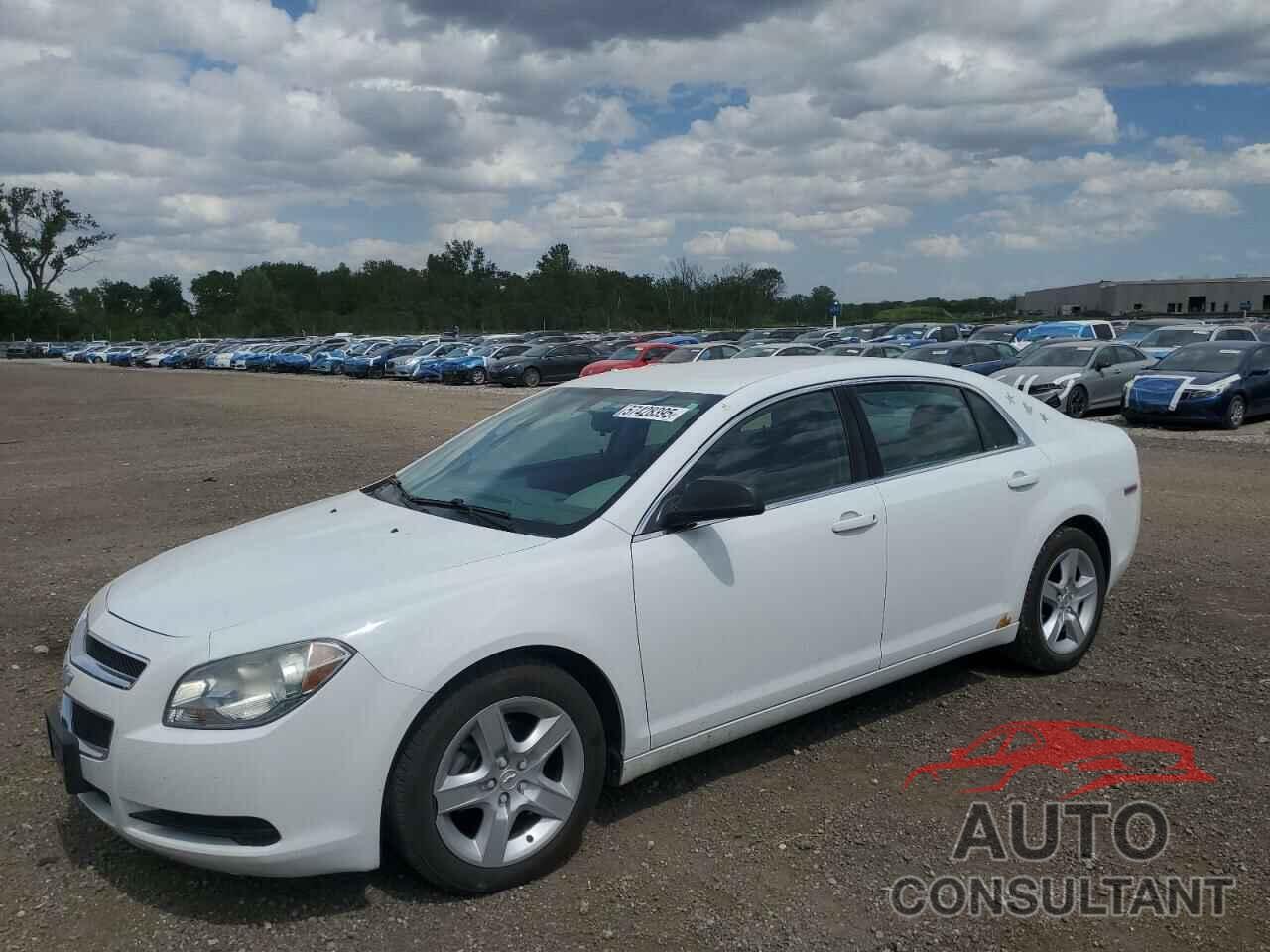 CHEVROLET MALIBU 2010 - 1G1ZB5EB6AF177183