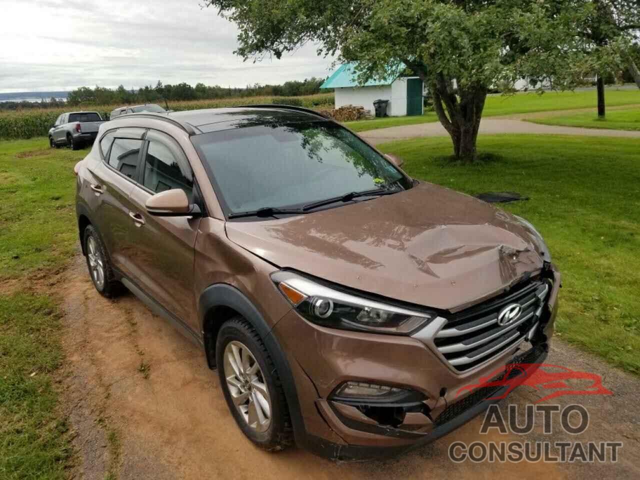 HYUNDAI TUCSON 2017 - KM8J3CA42HU299618