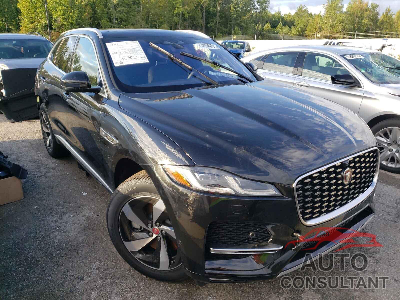 JAGUAR F-PACE 2021 - SADCJ2EU4MA667272