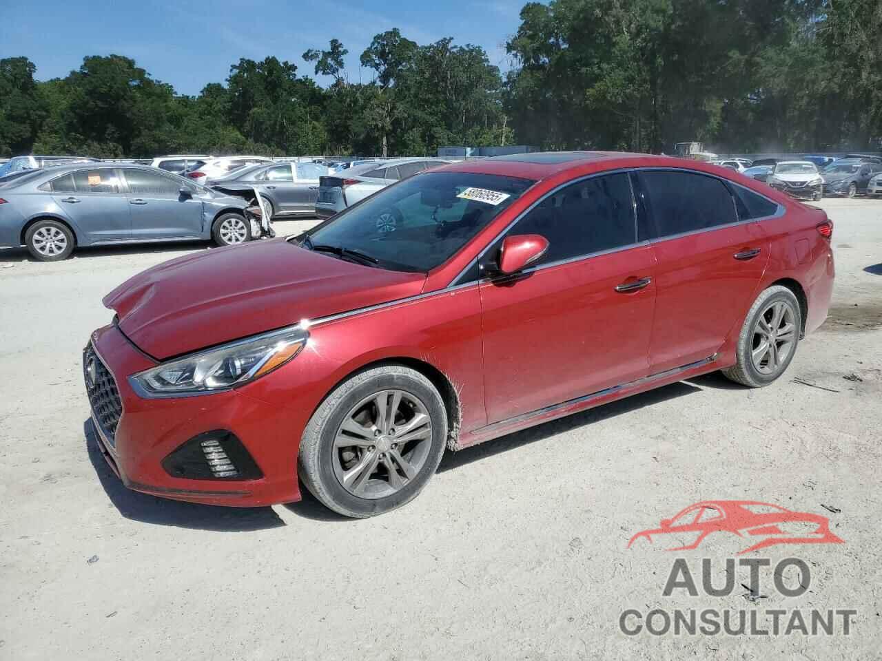 HYUNDAI SONATA 2018 - 5NPE34AF2JH660018