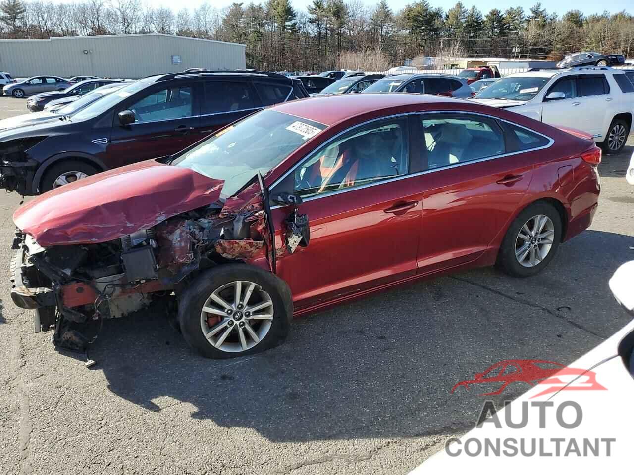 HYUNDAI SONATA 2015 - 5NPE24AF8FH189809