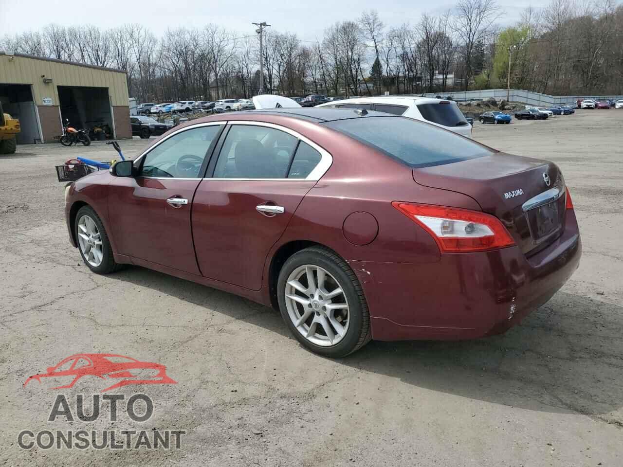 NISSAN MAXIMA 2011 - 1N4AA5AP7BC826197