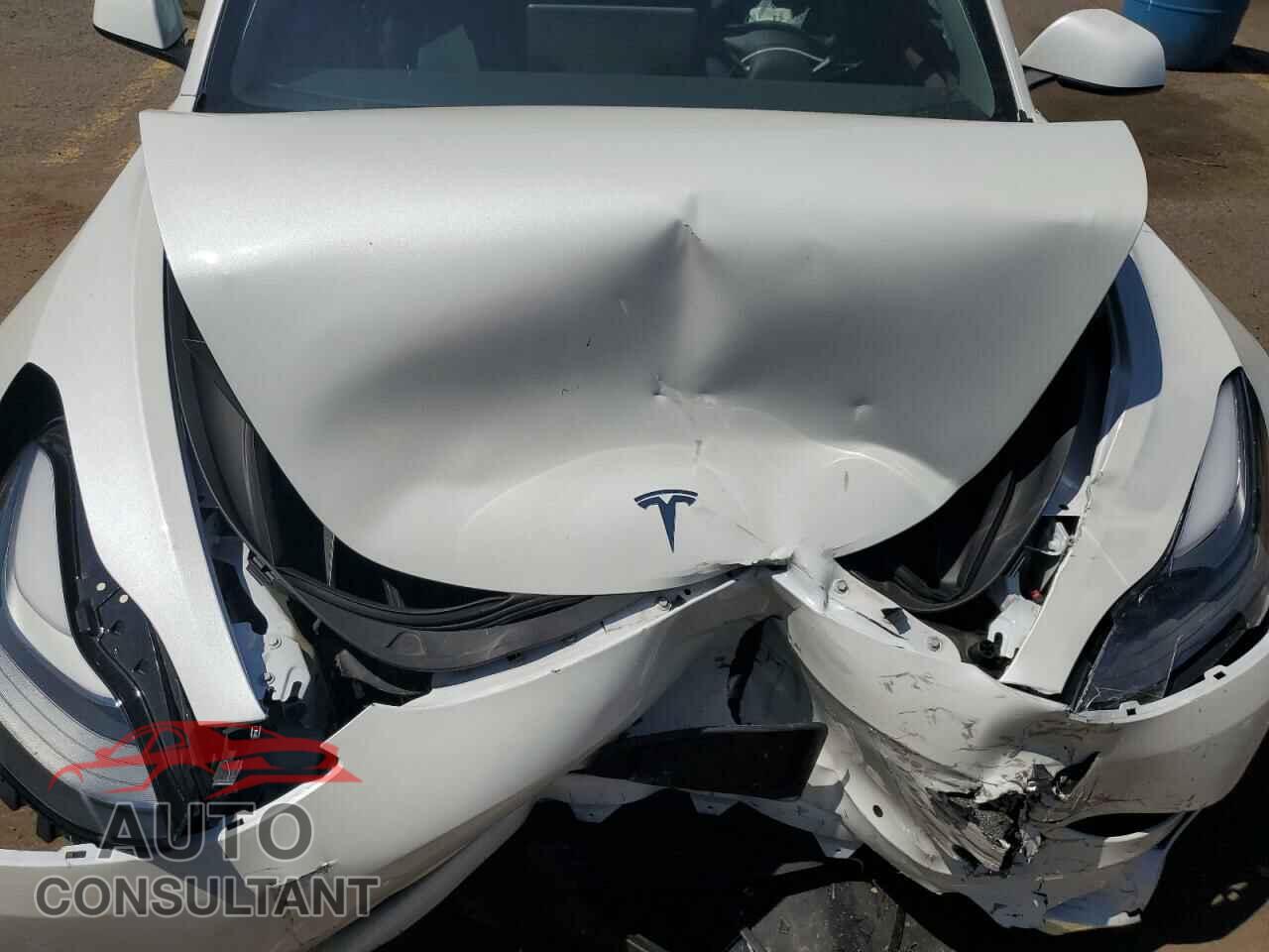 TESLA MODEL 3 2021 - 5YJ3E1EA0MF082244