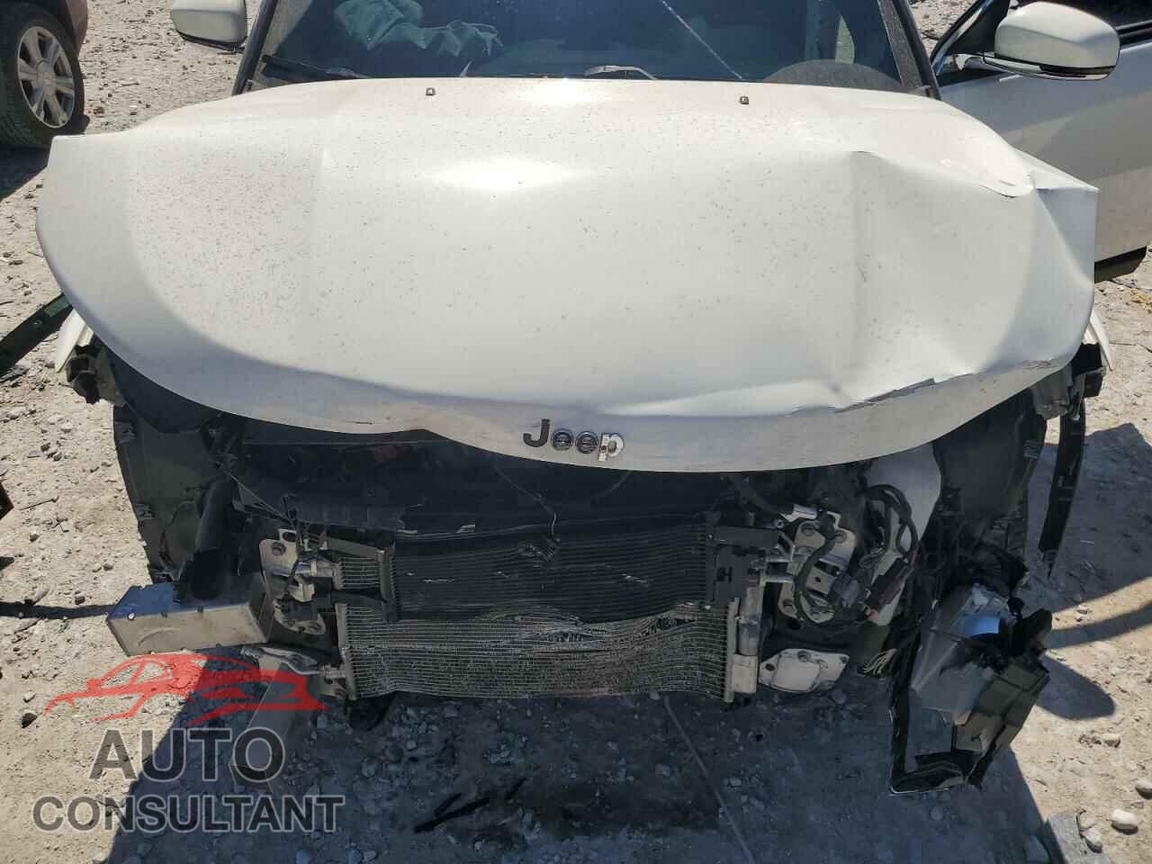 JEEP COMPASS 2020 - 3C4NJDCB5LT146439