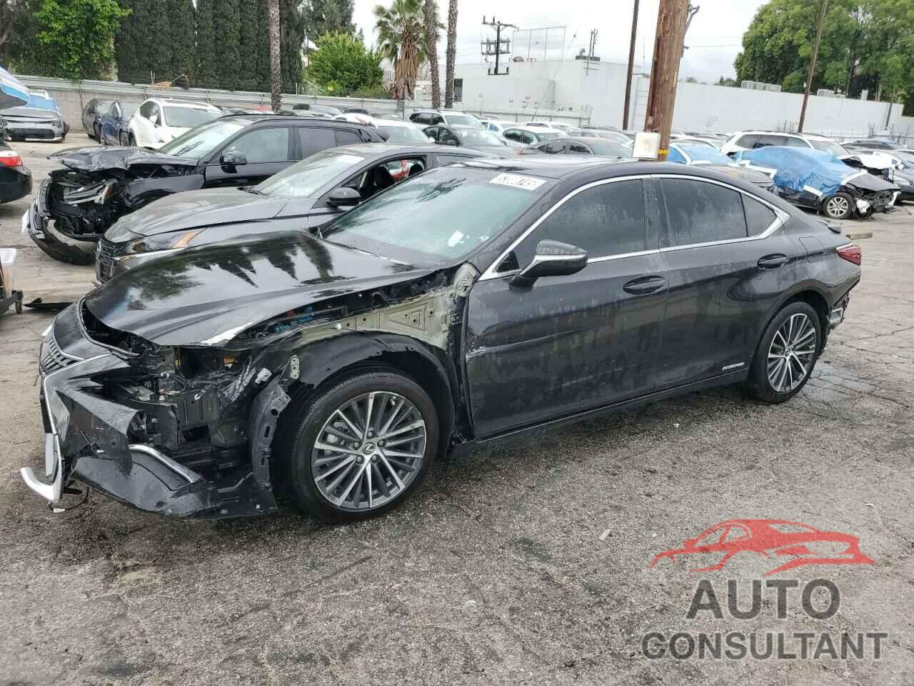 LEXUS ES300 2022 - 58ADA1C13NU019560