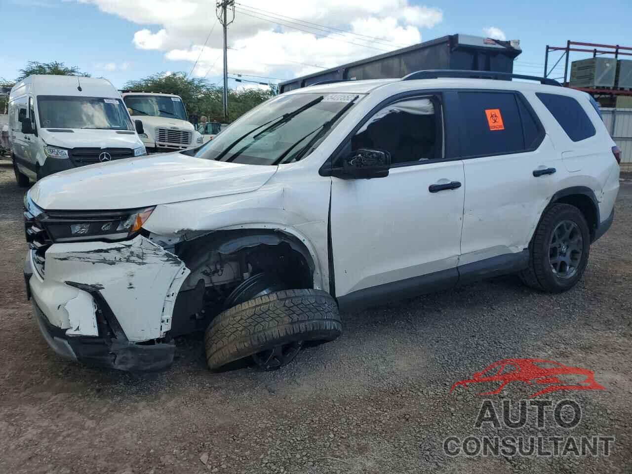 HONDA PILOT 2024 - 5FNYG1H60RB005128