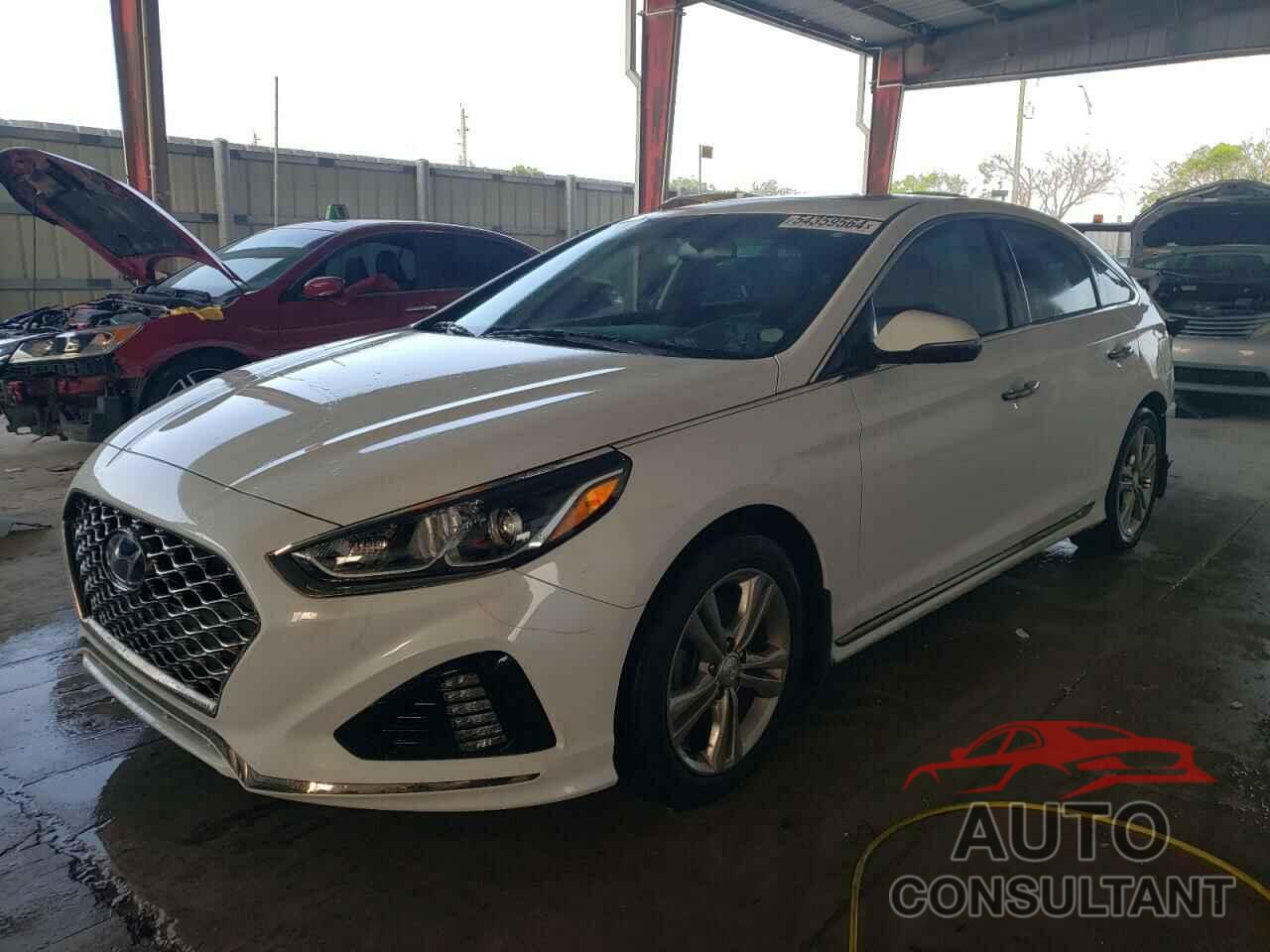 HYUNDAI SONATA 2019 - 5NPE34AF0KH814369
