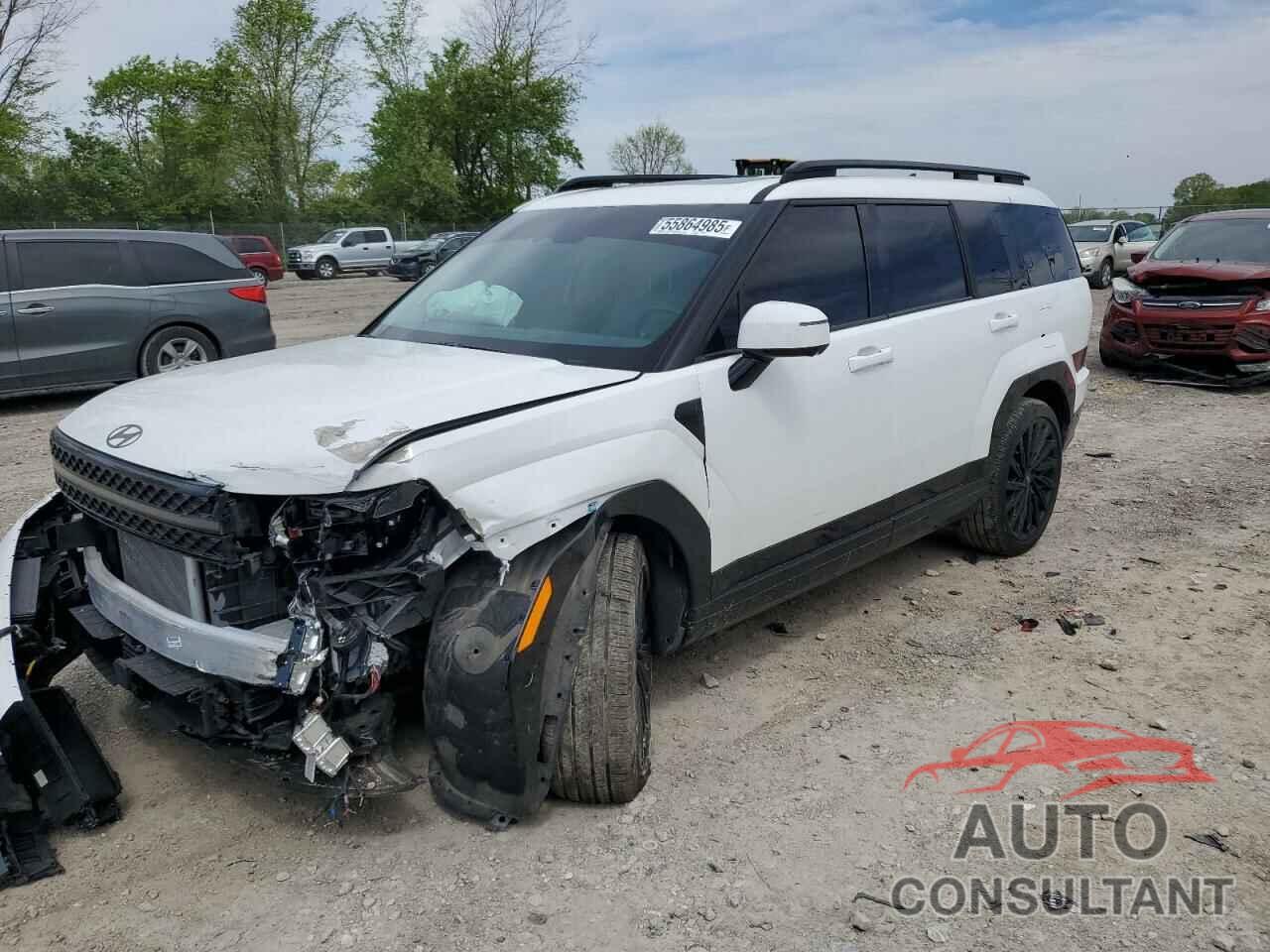 HYUNDAI SANTA FE 2024 - 5NMP5DGLXRH040669