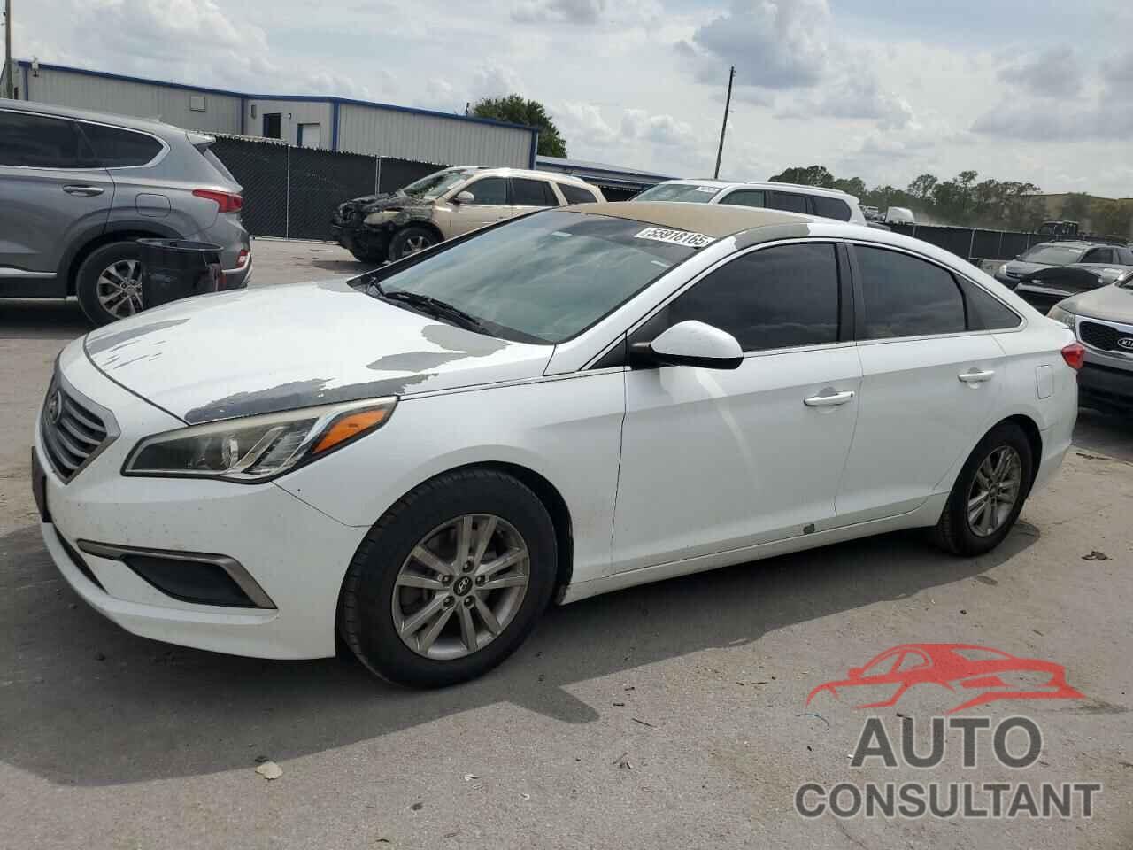 HYUNDAI SONATA 2017 - 5NPE24AF3HH464750