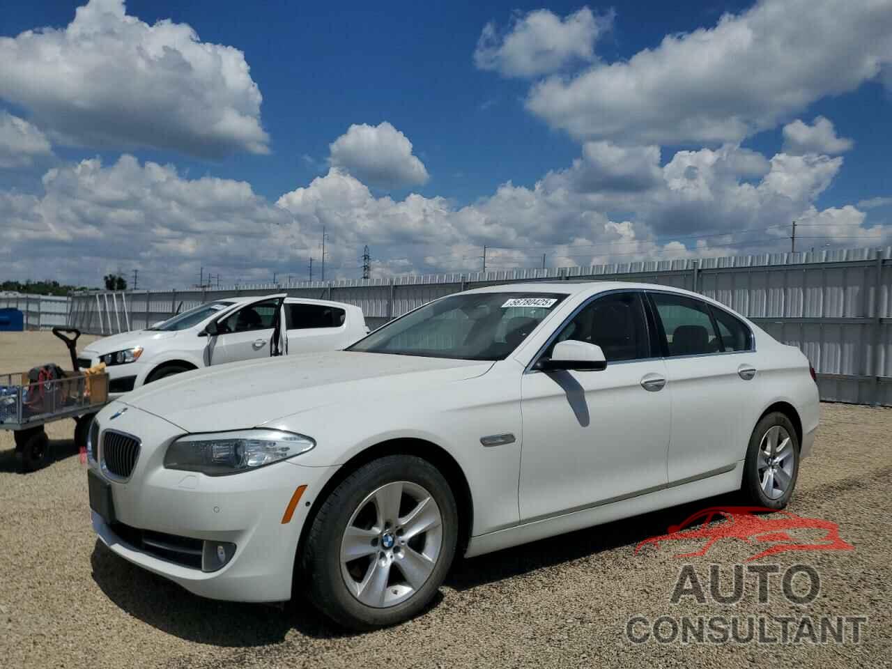 BMW 5 SERIES 2013 - WBAXH5C59DD114263