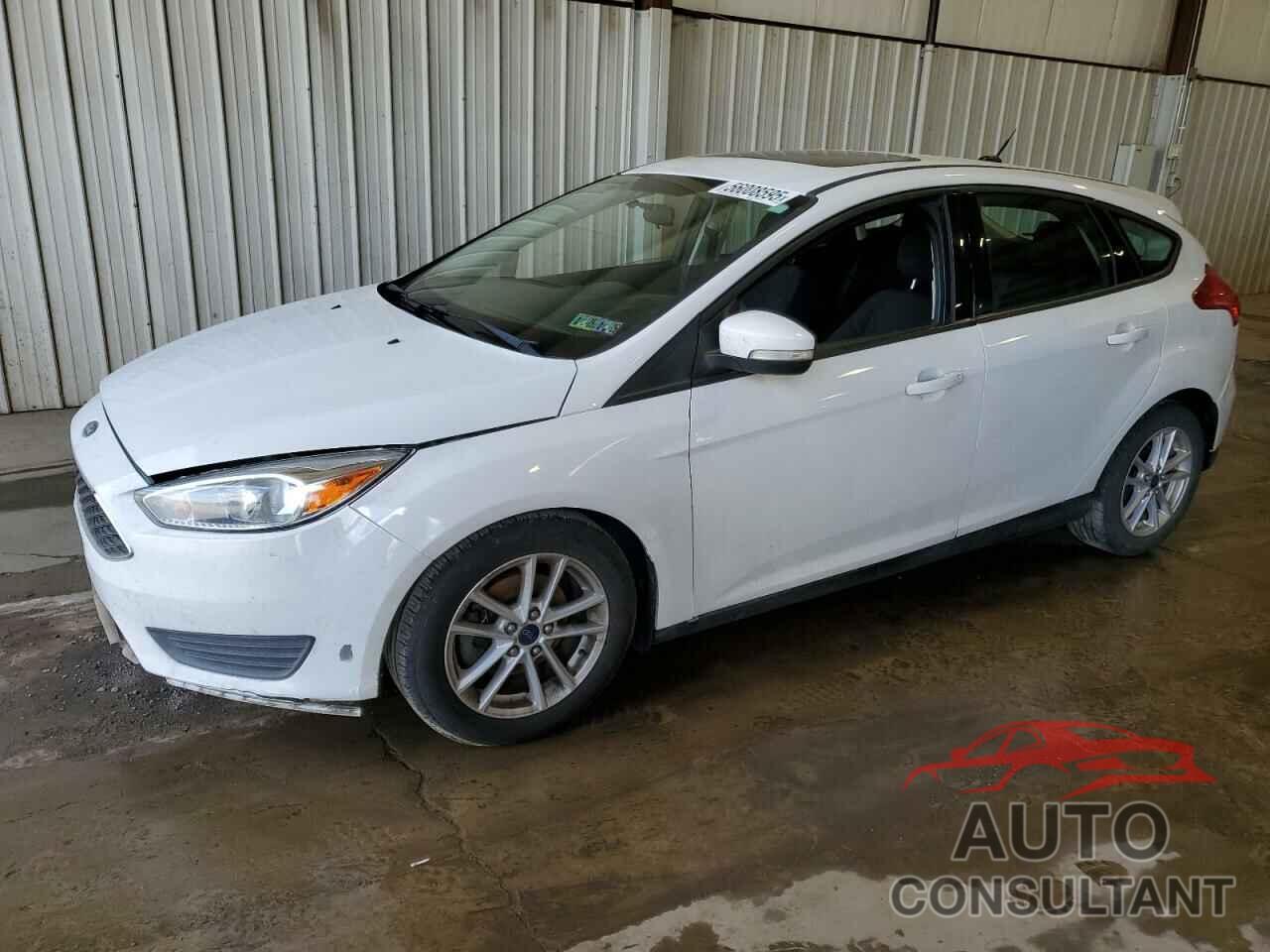 FORD FOCUS 2016 - 1FADP3K22GL213544
